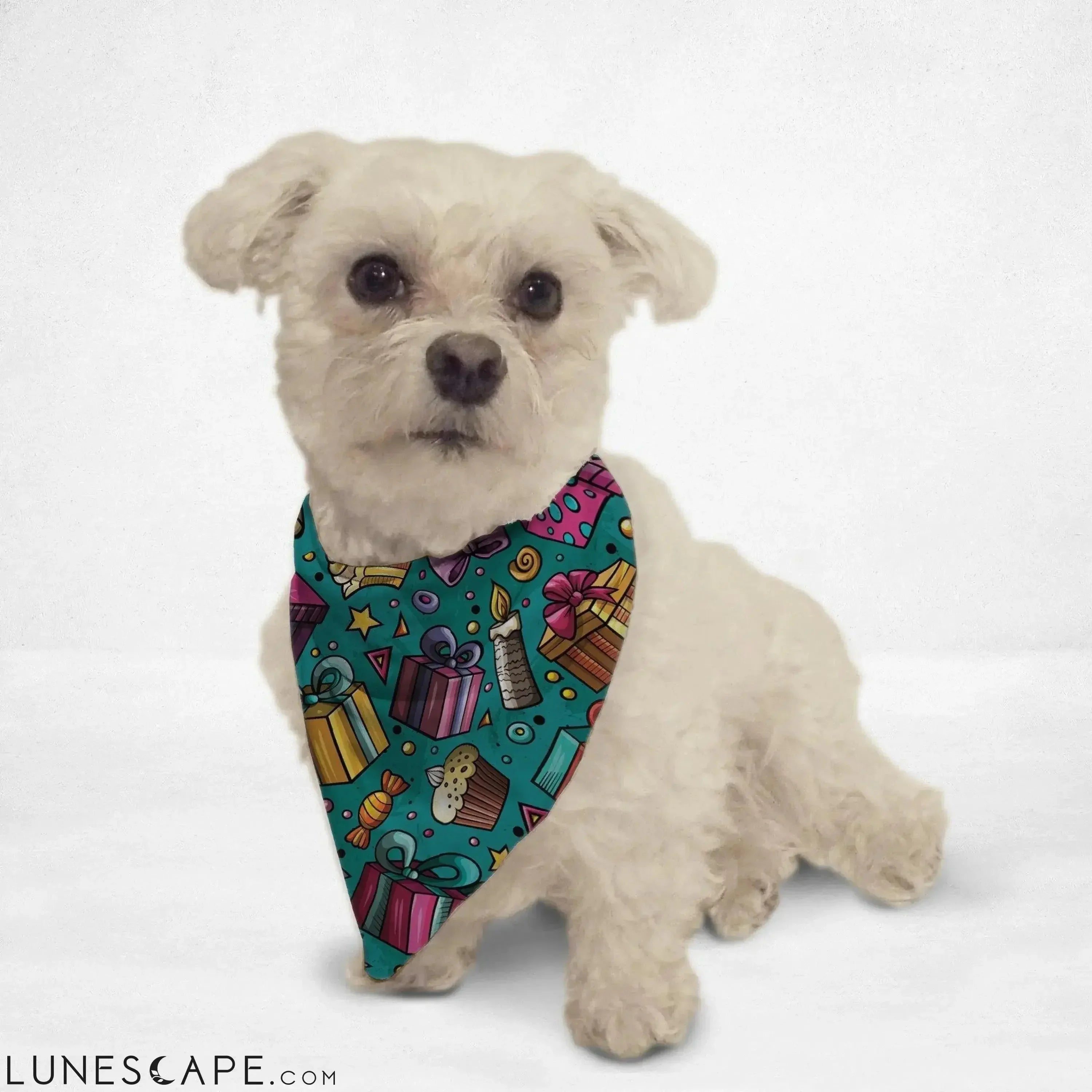 Birthday Doodles Cat & Dog Bandana LUNESCAPE