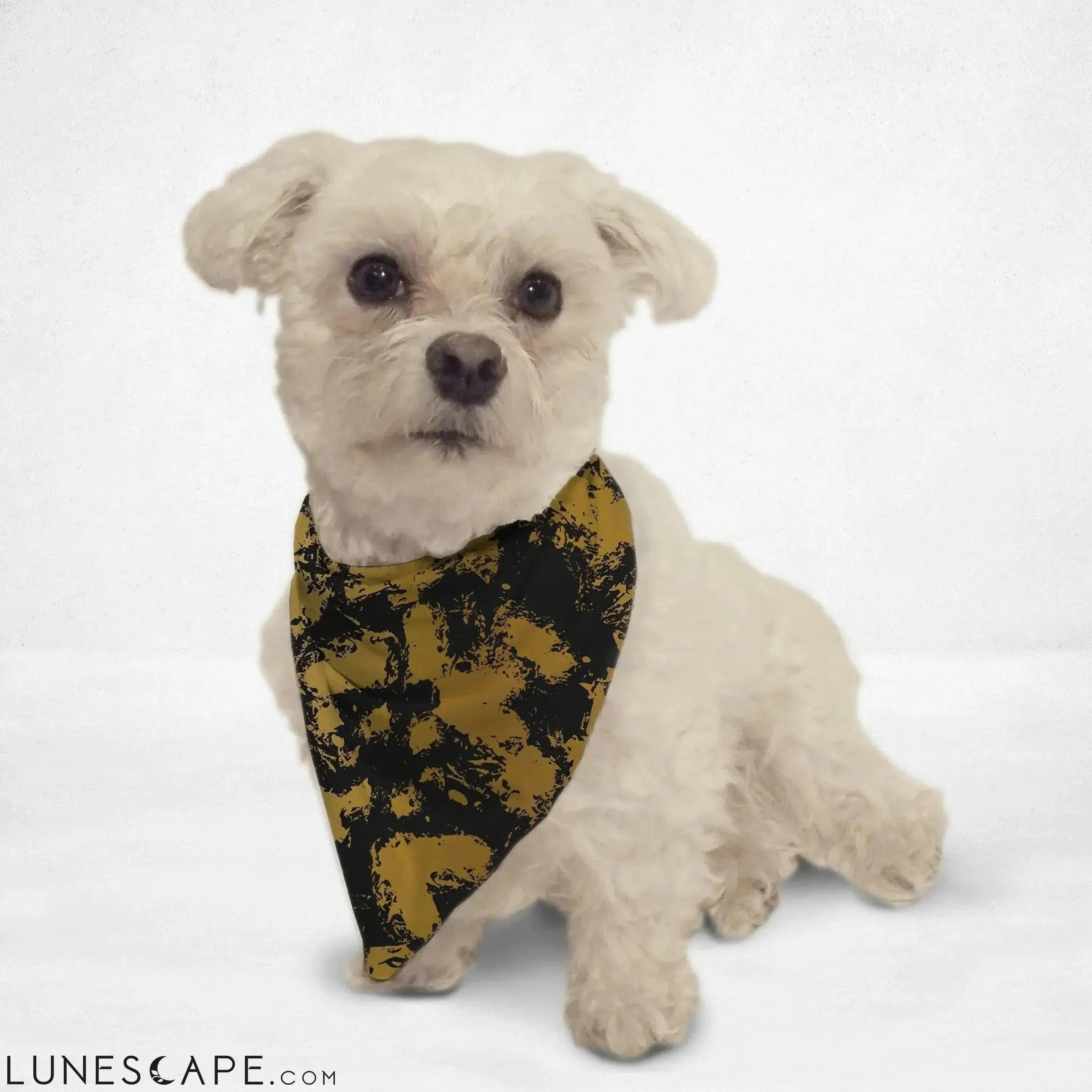 Black Gold Distressed Cat & Dog Bandana LUNESCAPE
