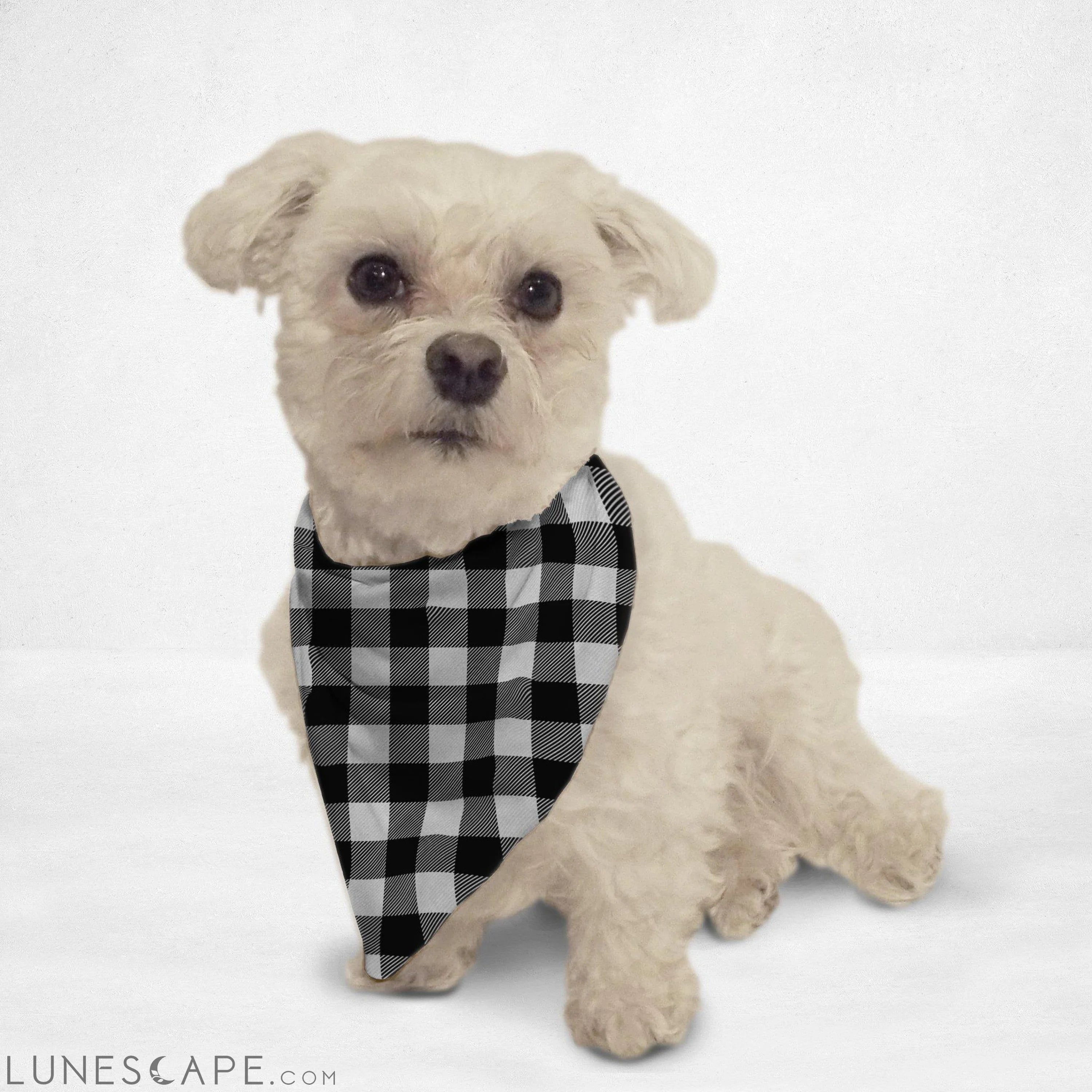 Black & White Cat & Dog Bandana LUNESCAPE