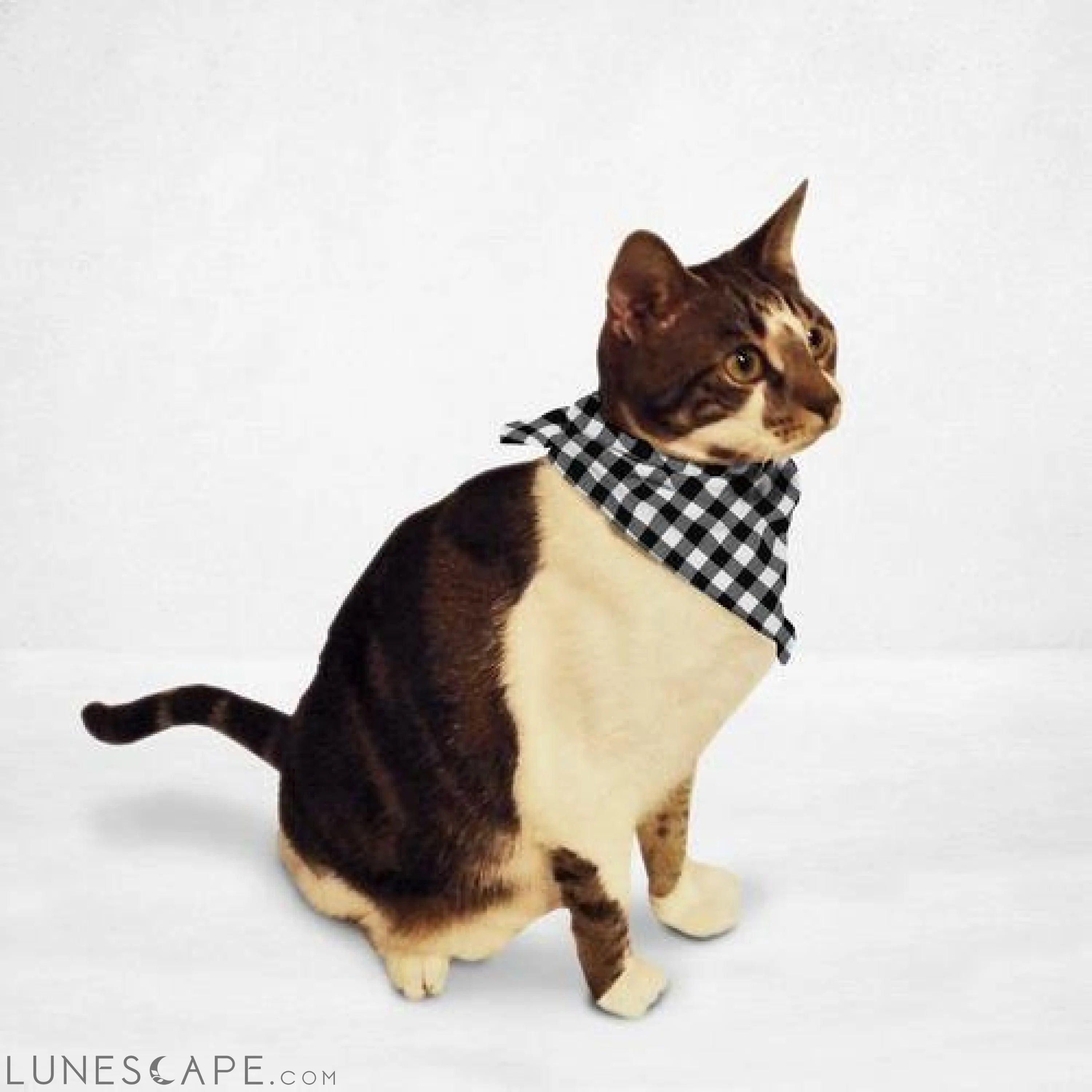 Black & White Cat & Dog Bandana LUNESCAPE