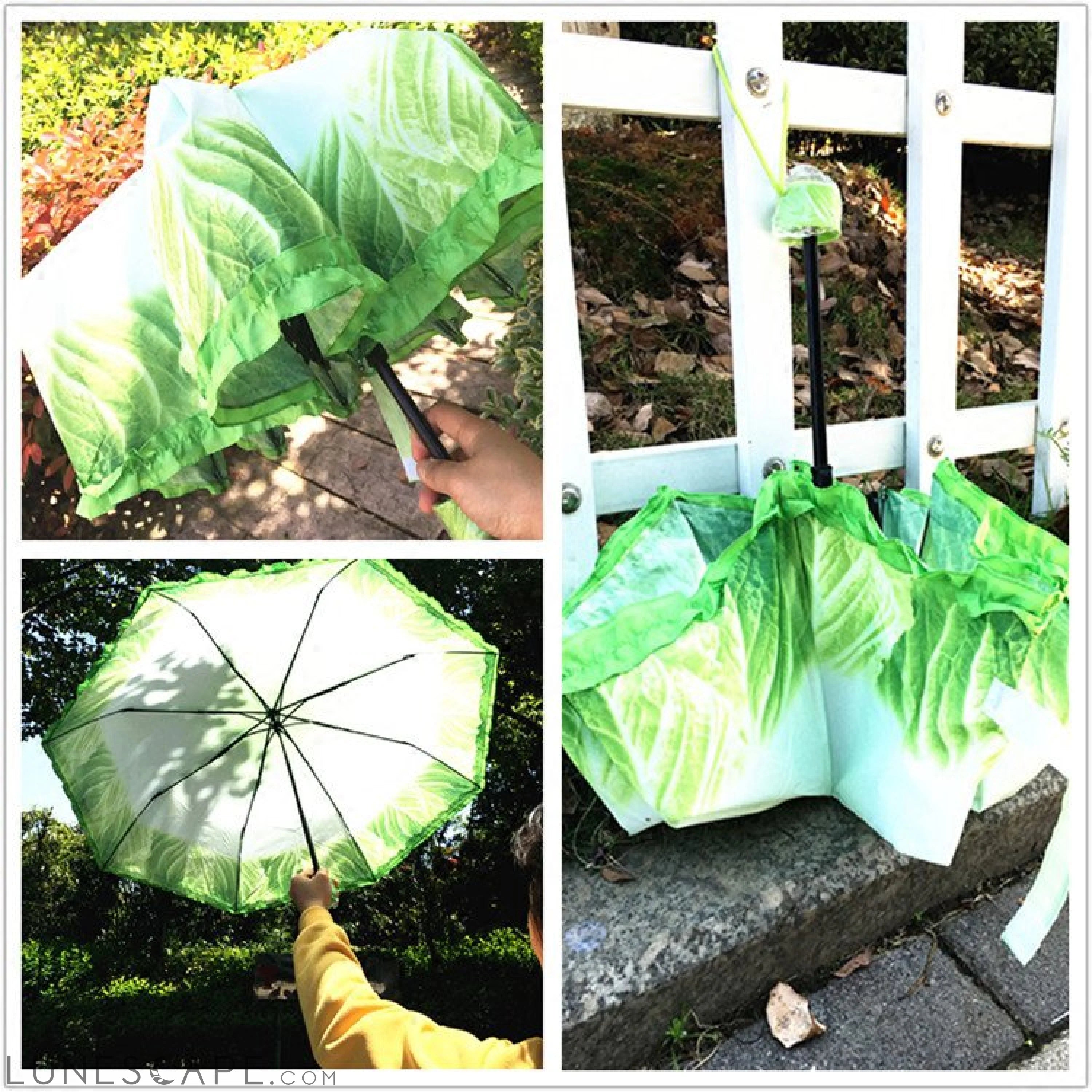 Cabbage Umbrella LUNESCAPE