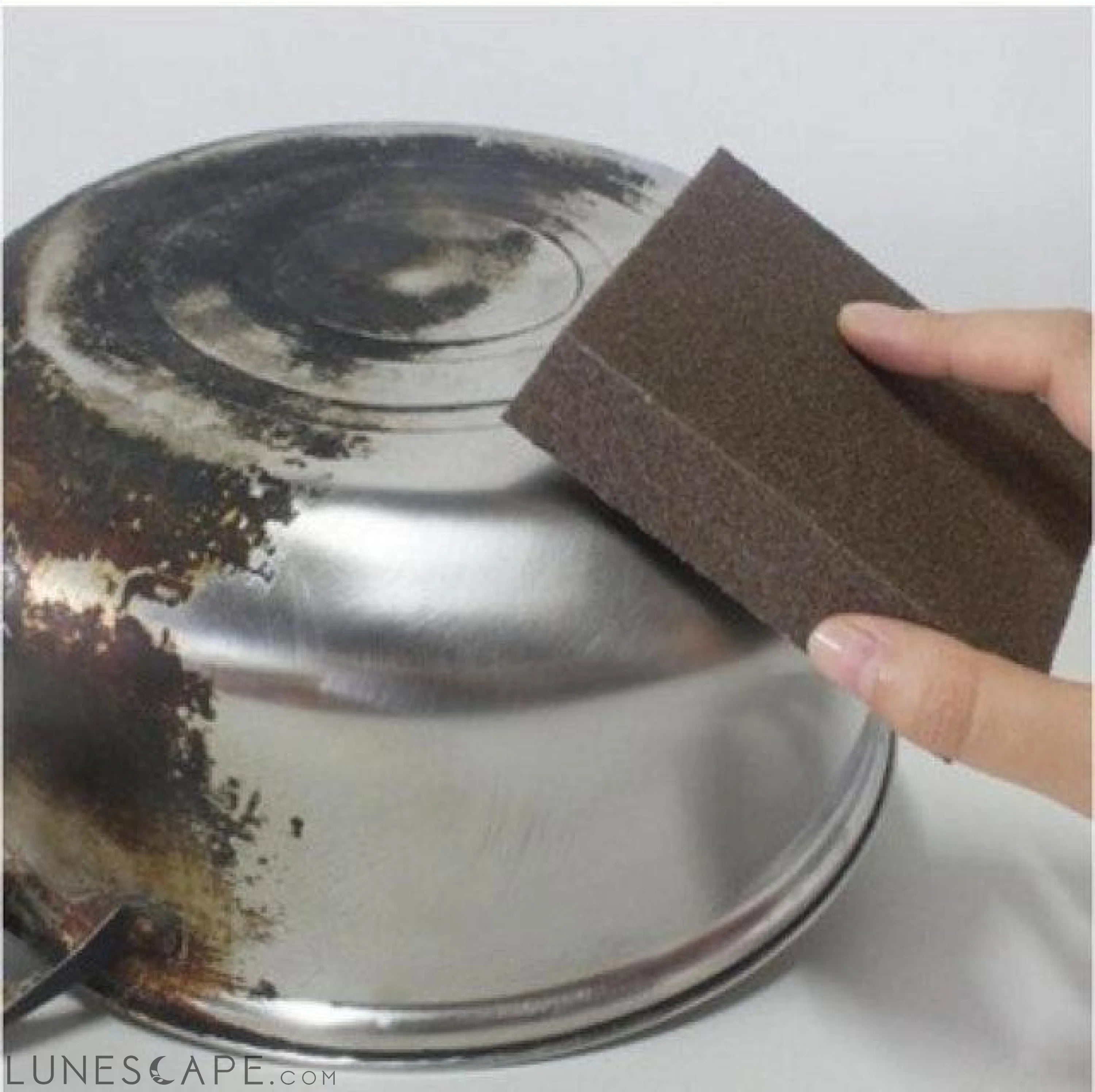 Carborundum Kitchen Sponge LUNESCAPE