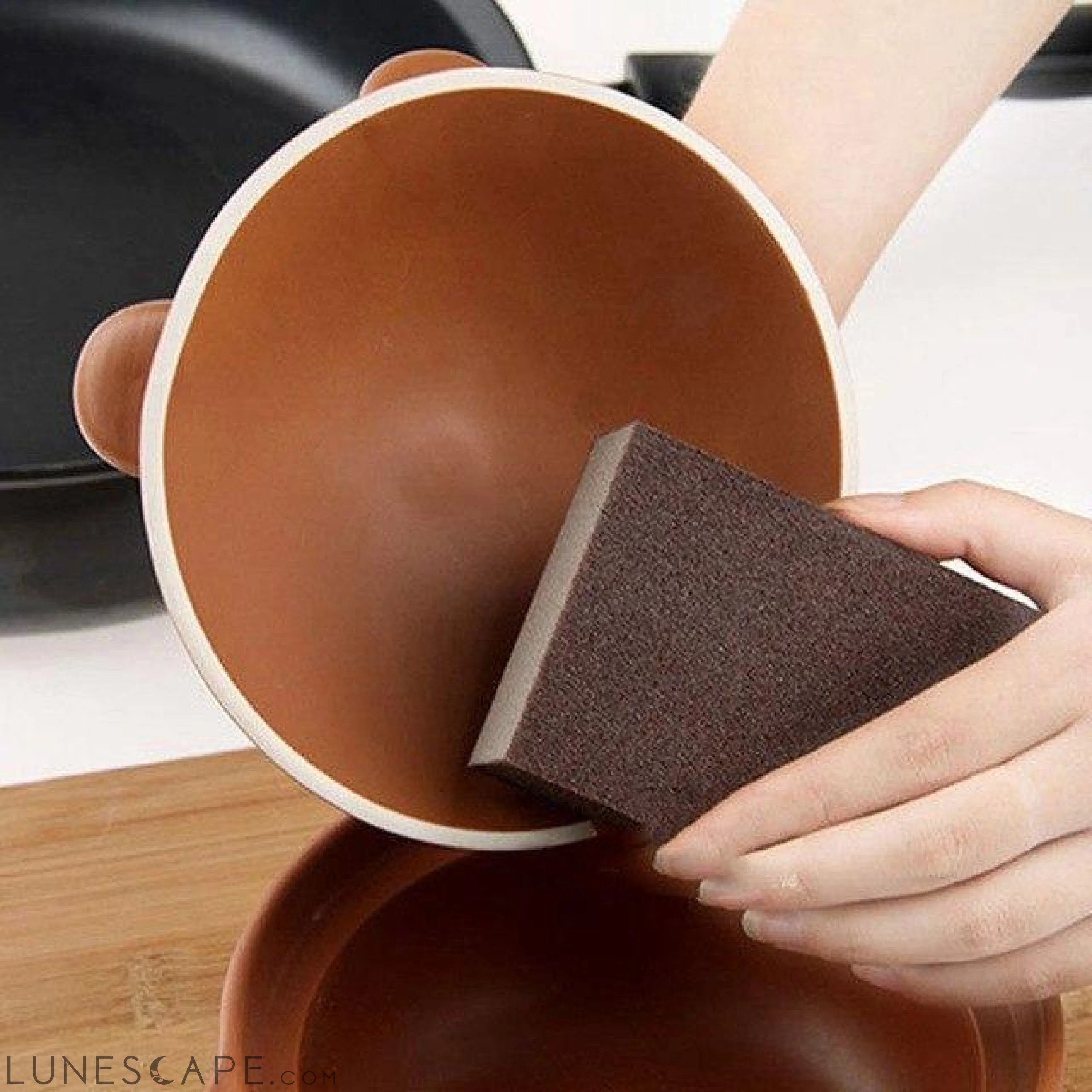 Carborundum Kitchen Sponge LUNESCAPE