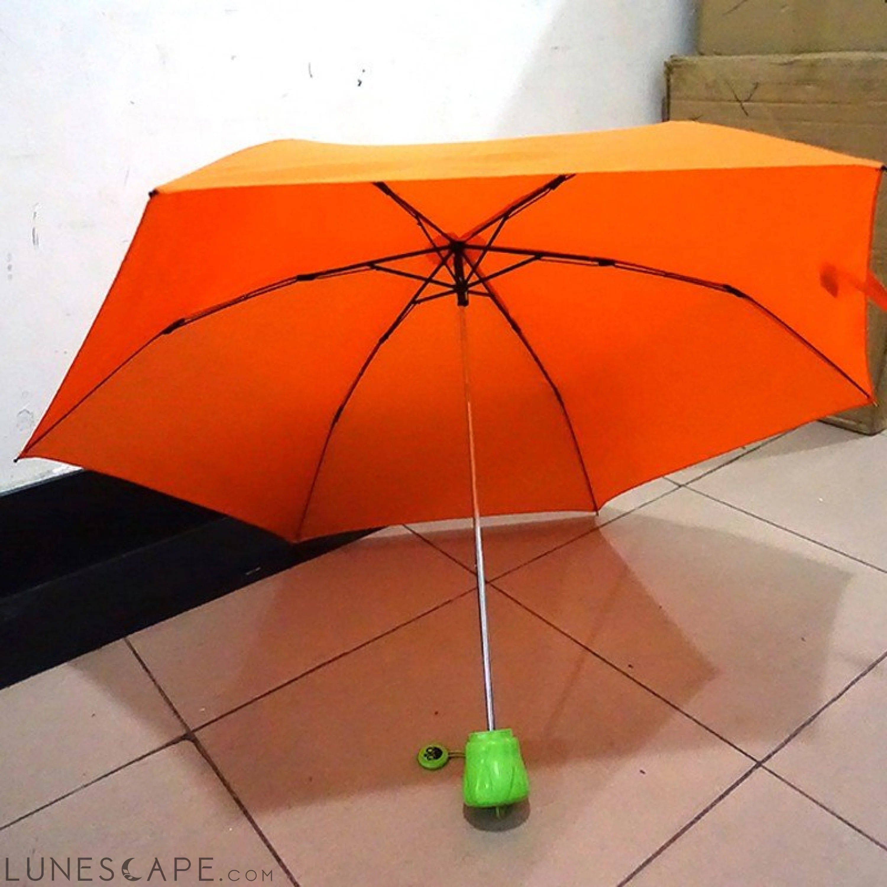Carrot Shaped Umbrella LUNESCAPE