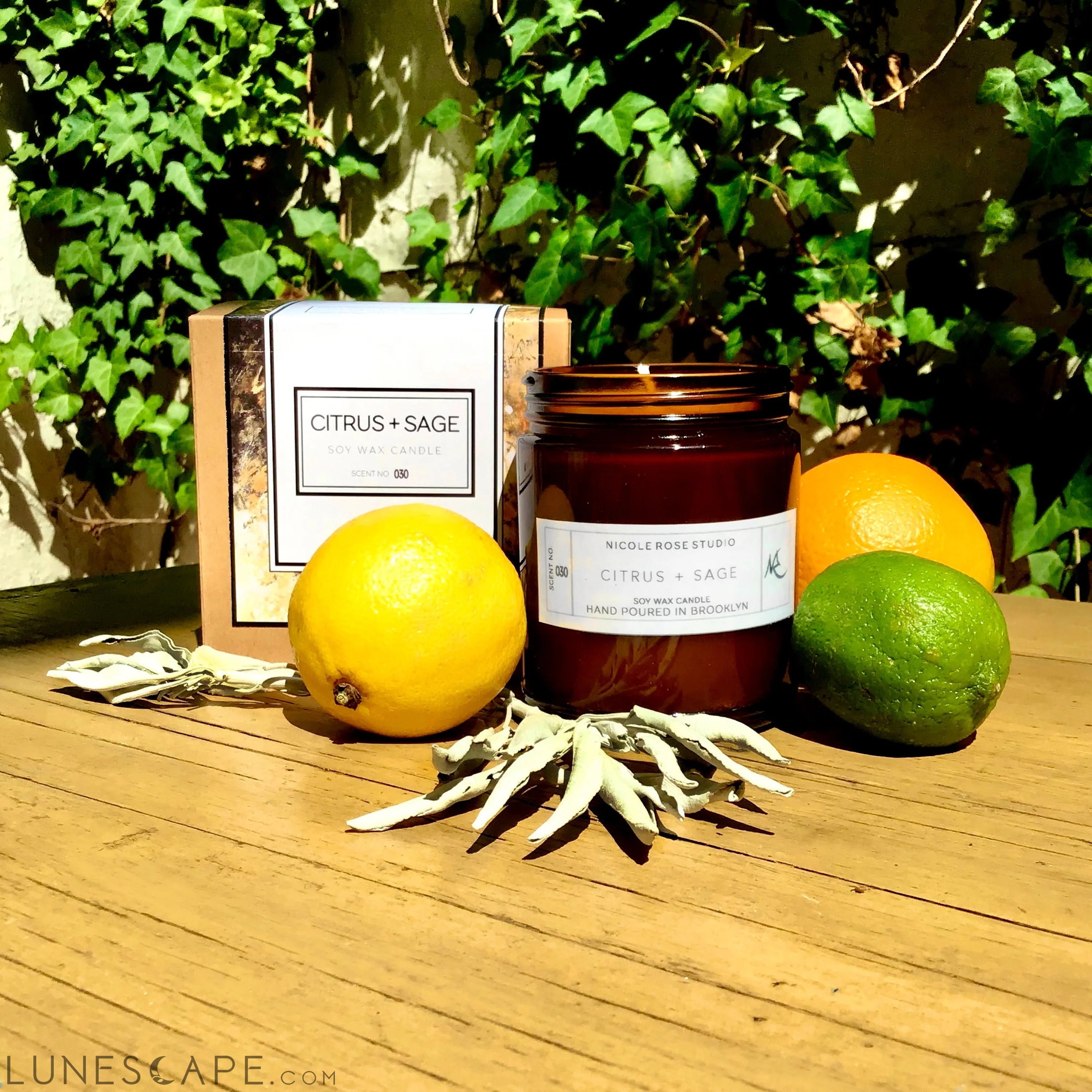 Citrus + Sage Soy Wax Candle LUNESCAPE