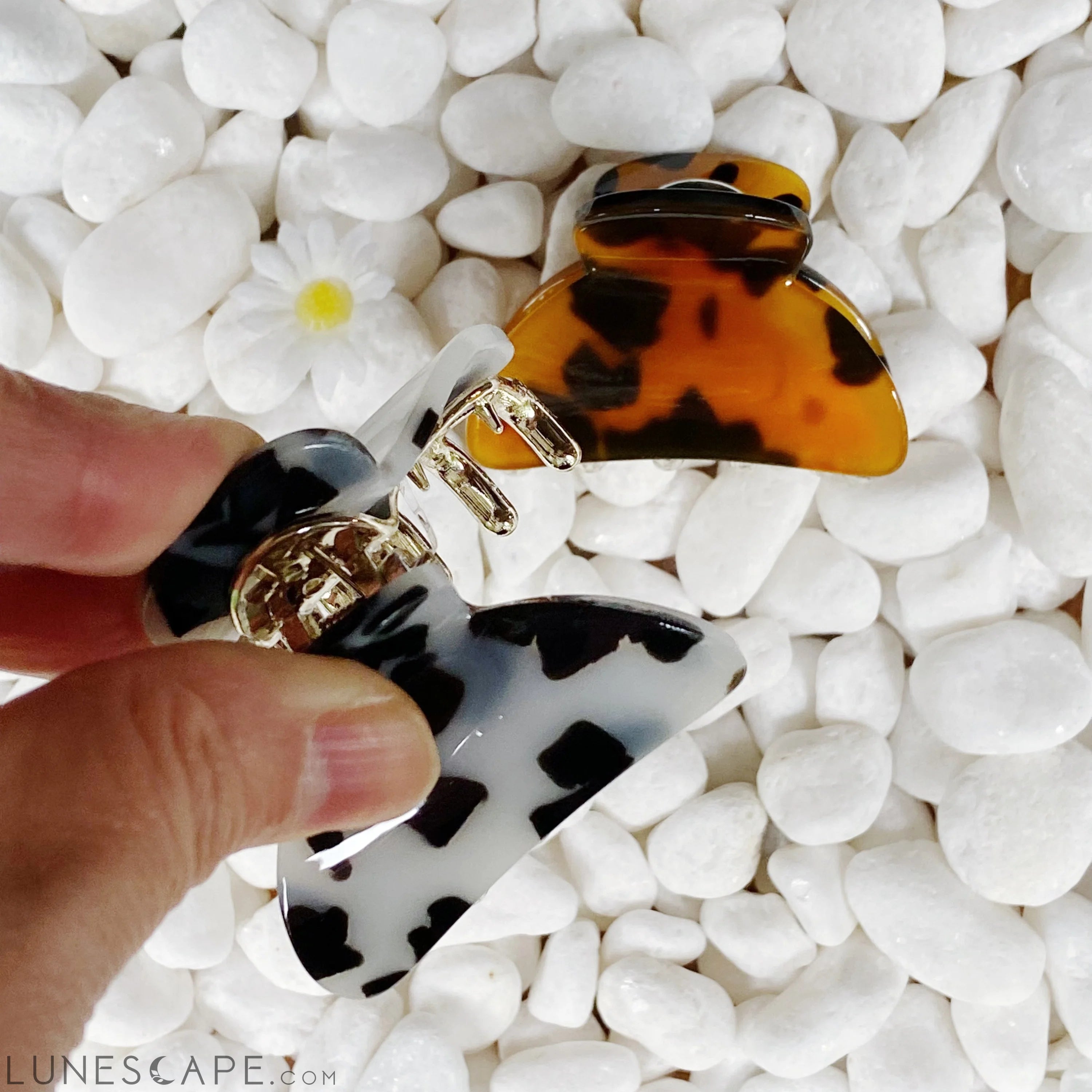 Classy Mini Hair Claw Set LUNESCAPE