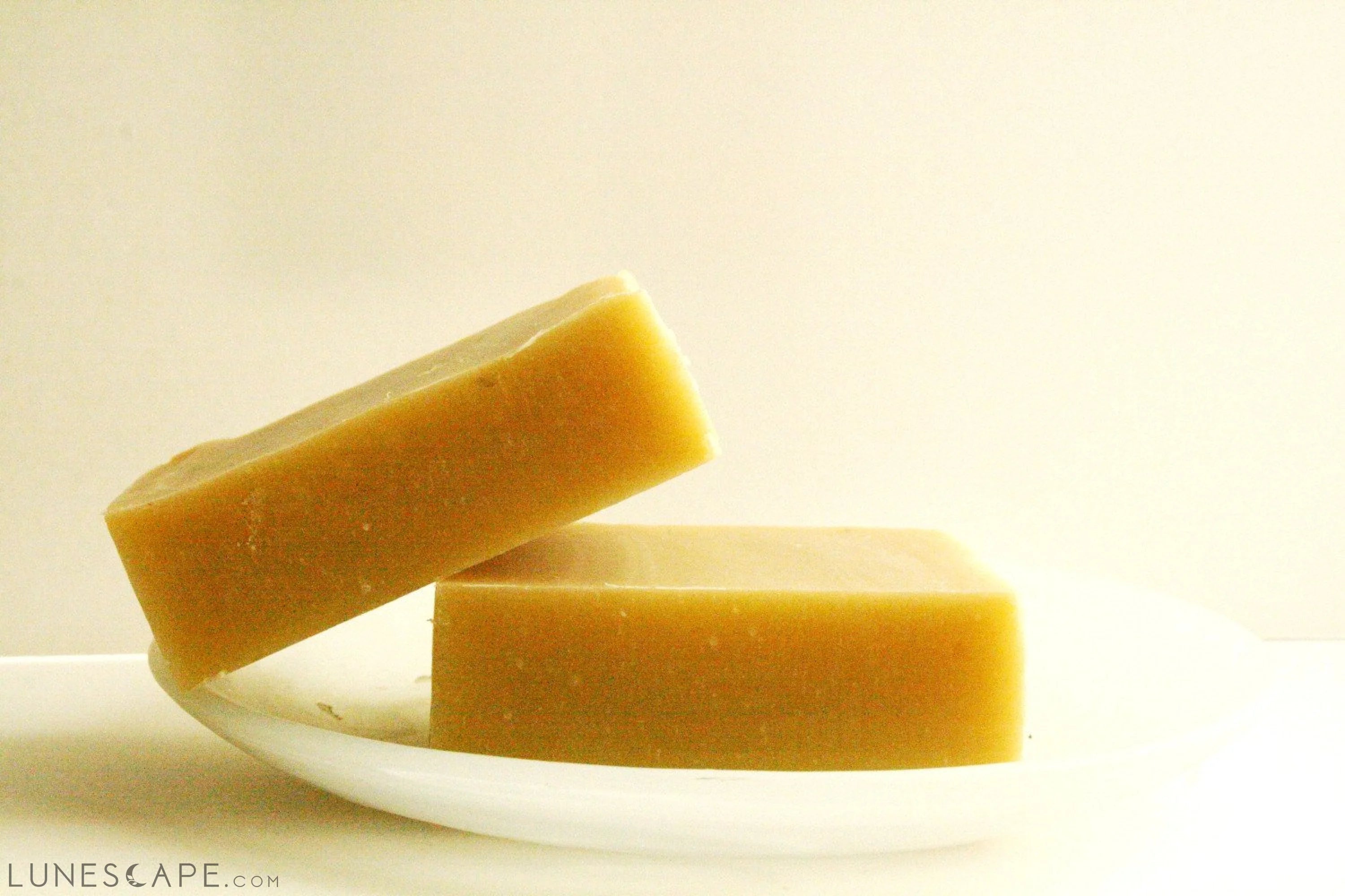 Coconut Silk Conditioning Shampoo Bar LUNESCAPE