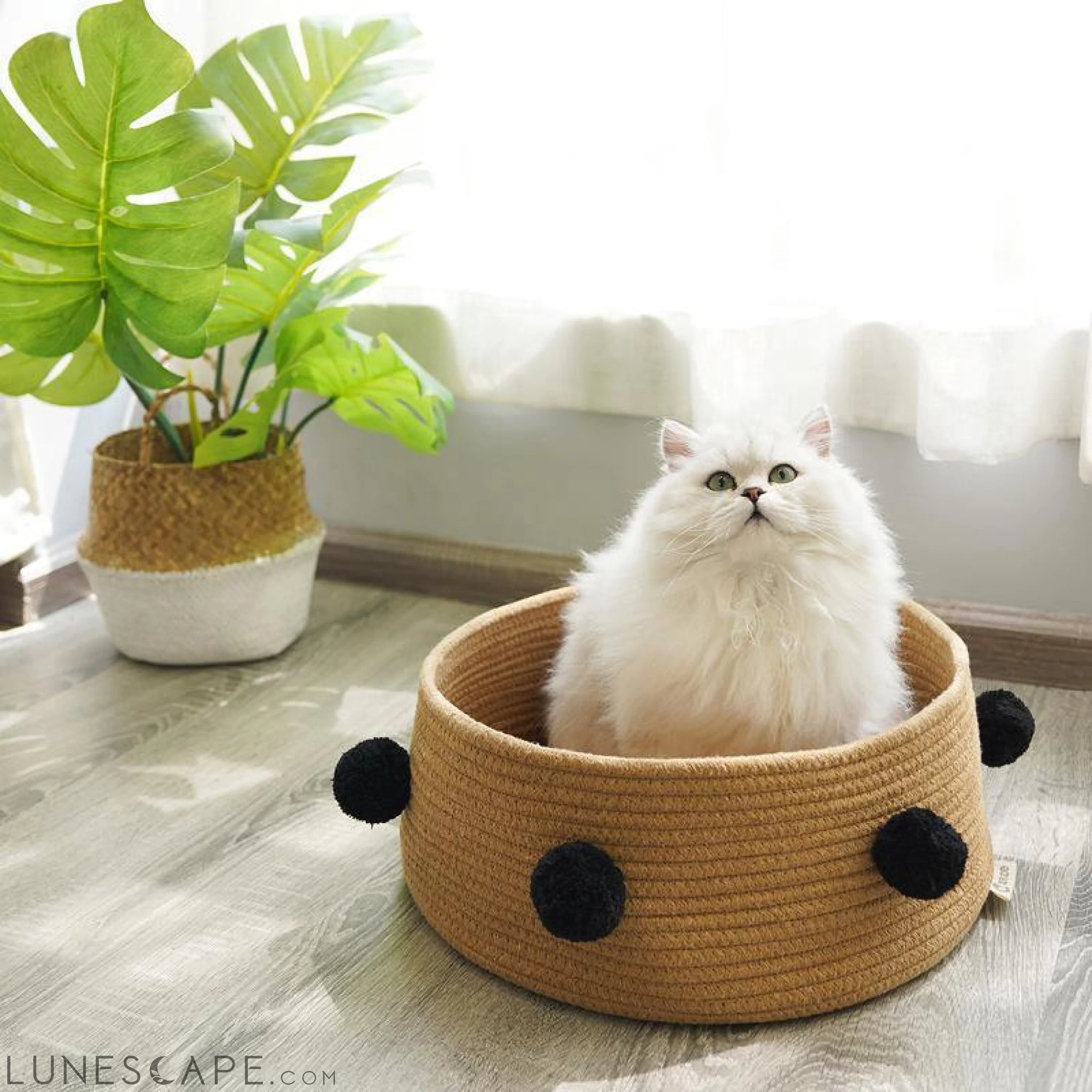 Coiled Jute Cat Basket LUNESCAPE