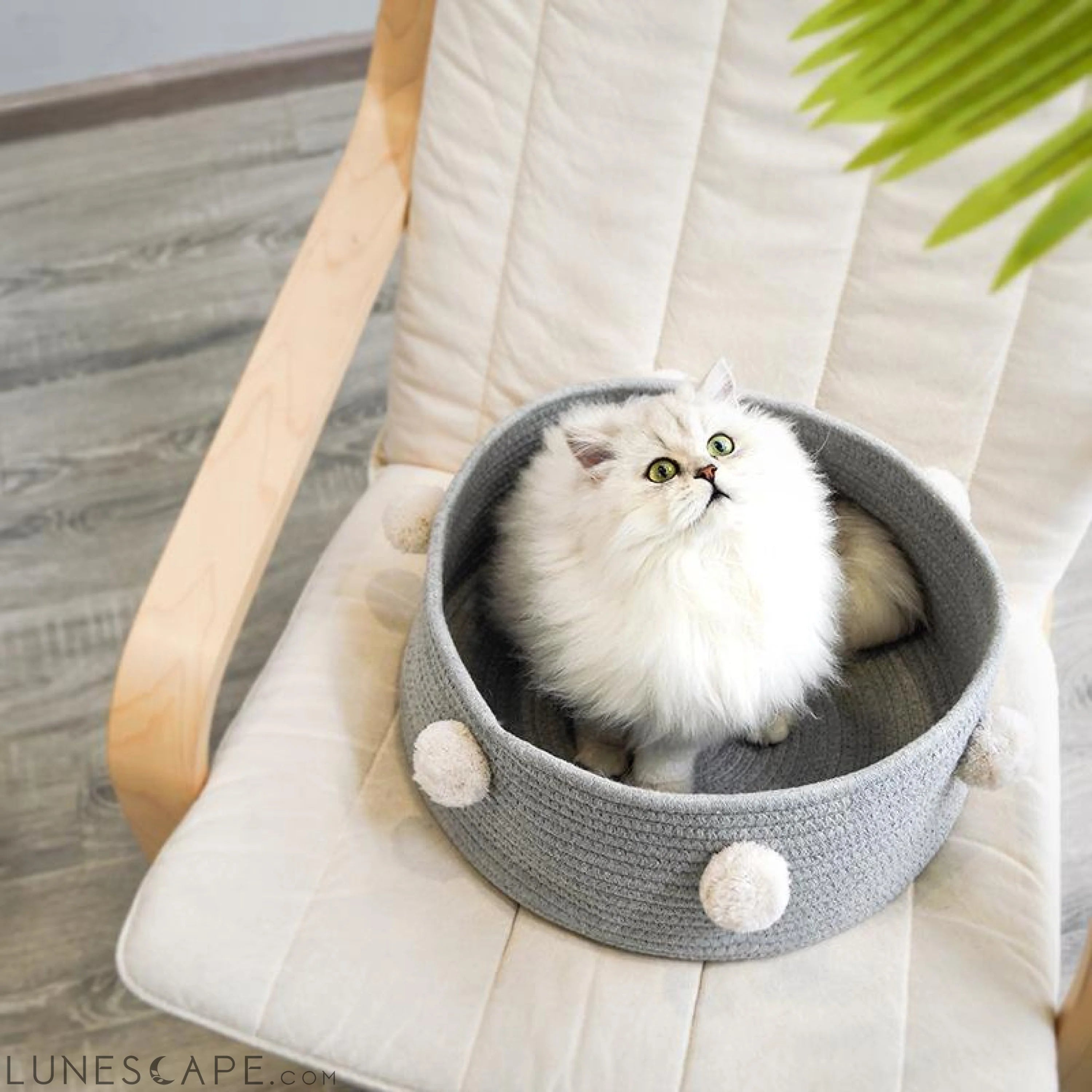 Coiled Jute Cat Basket LUNESCAPE