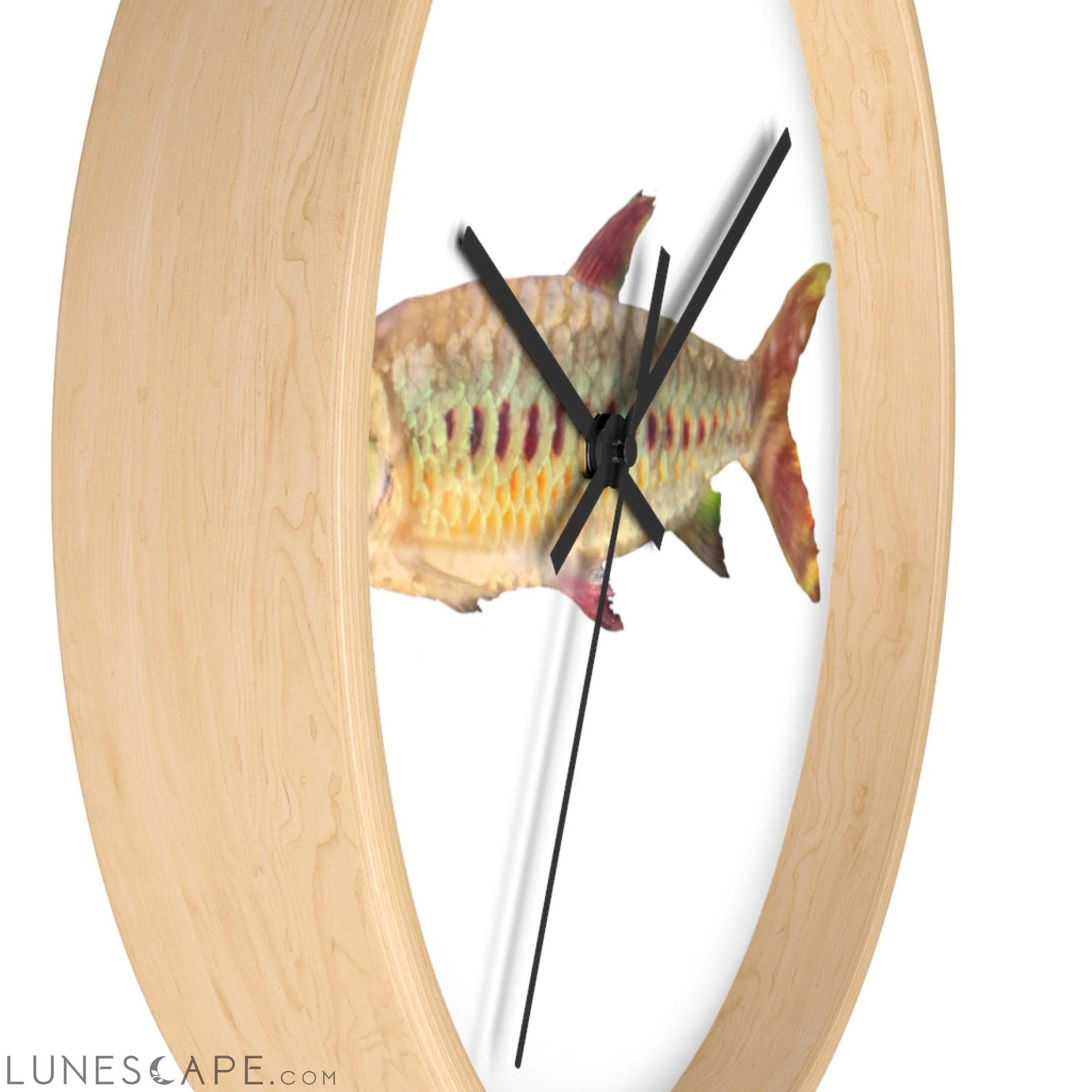 Colorful Fish Wall clock LUNESCAPE