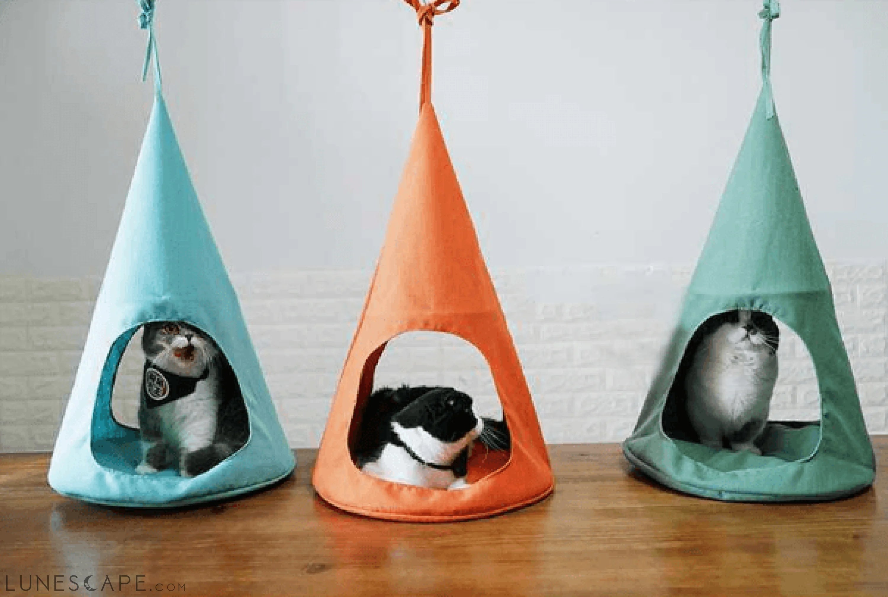 Cone Kitty Hammock LUNESCAPE