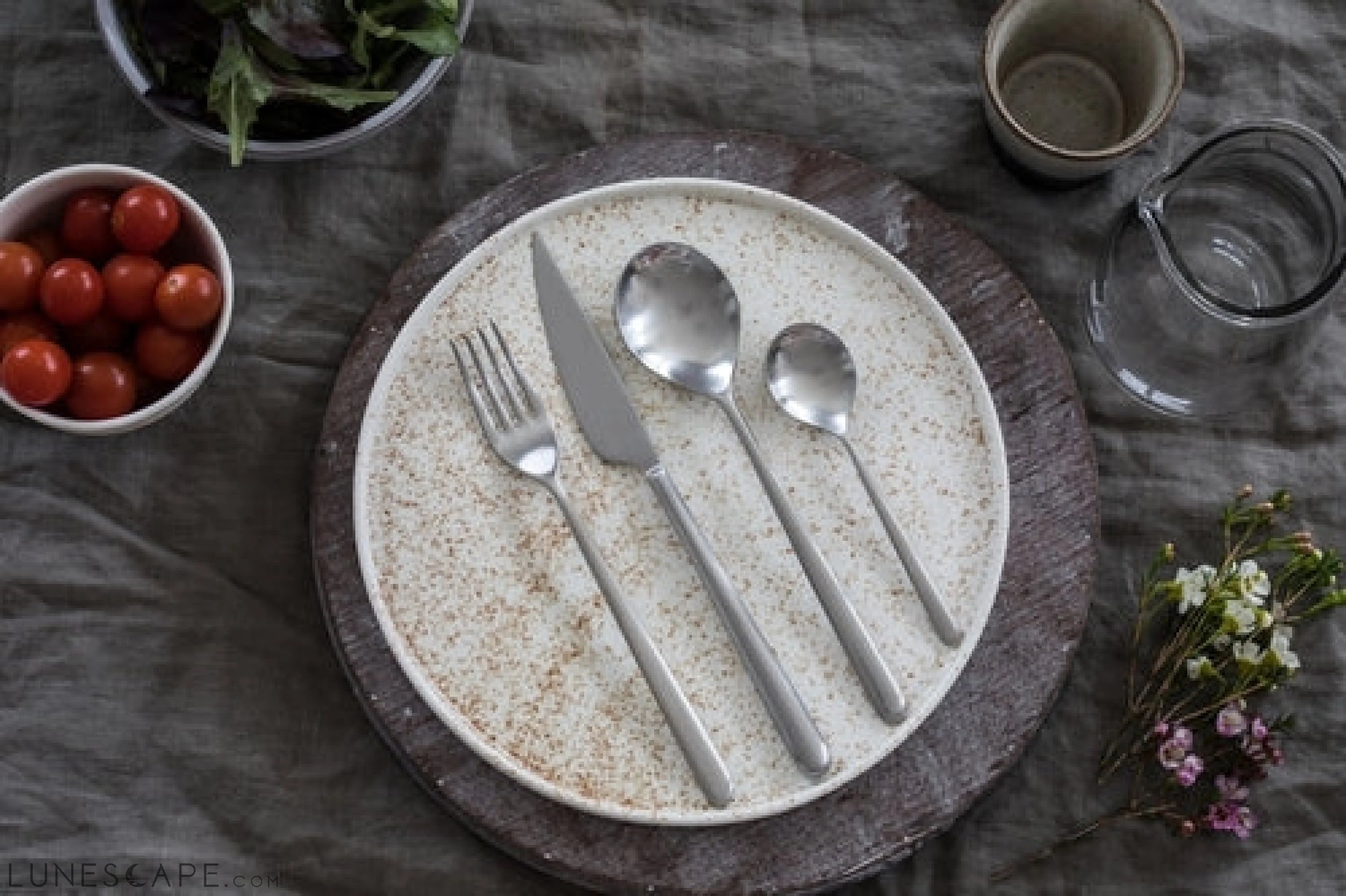 CUTLERY SET 20 PCS         LINEA ICE LUNESCAPE