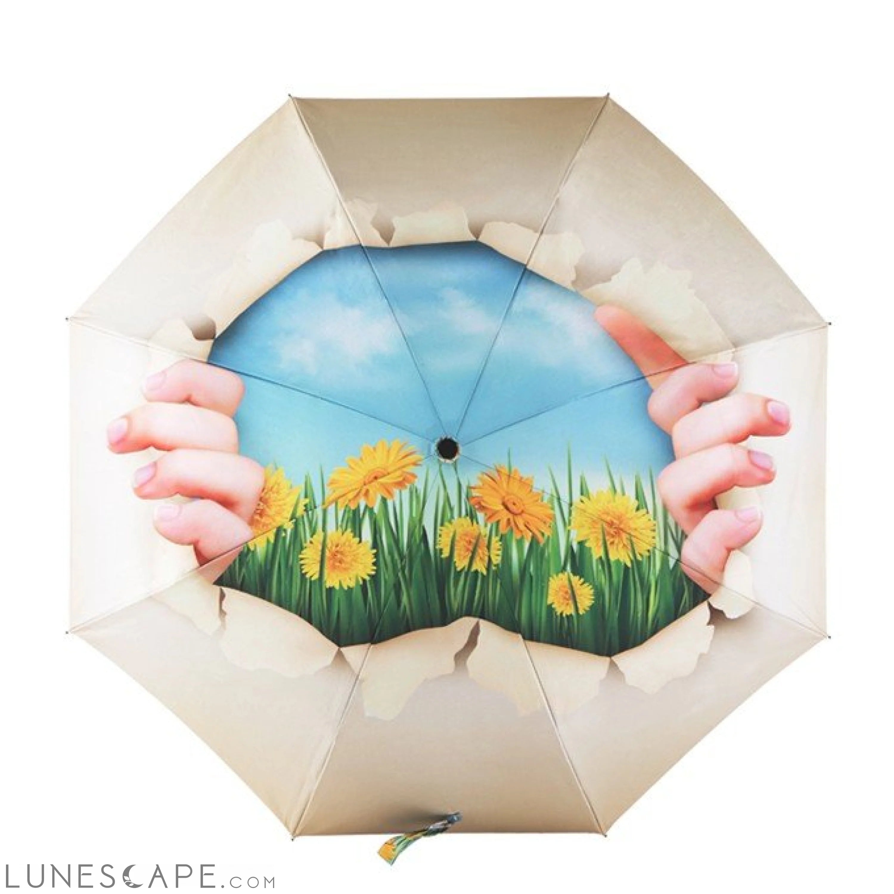Daisy Sunny Umbrella LUNESCAPE