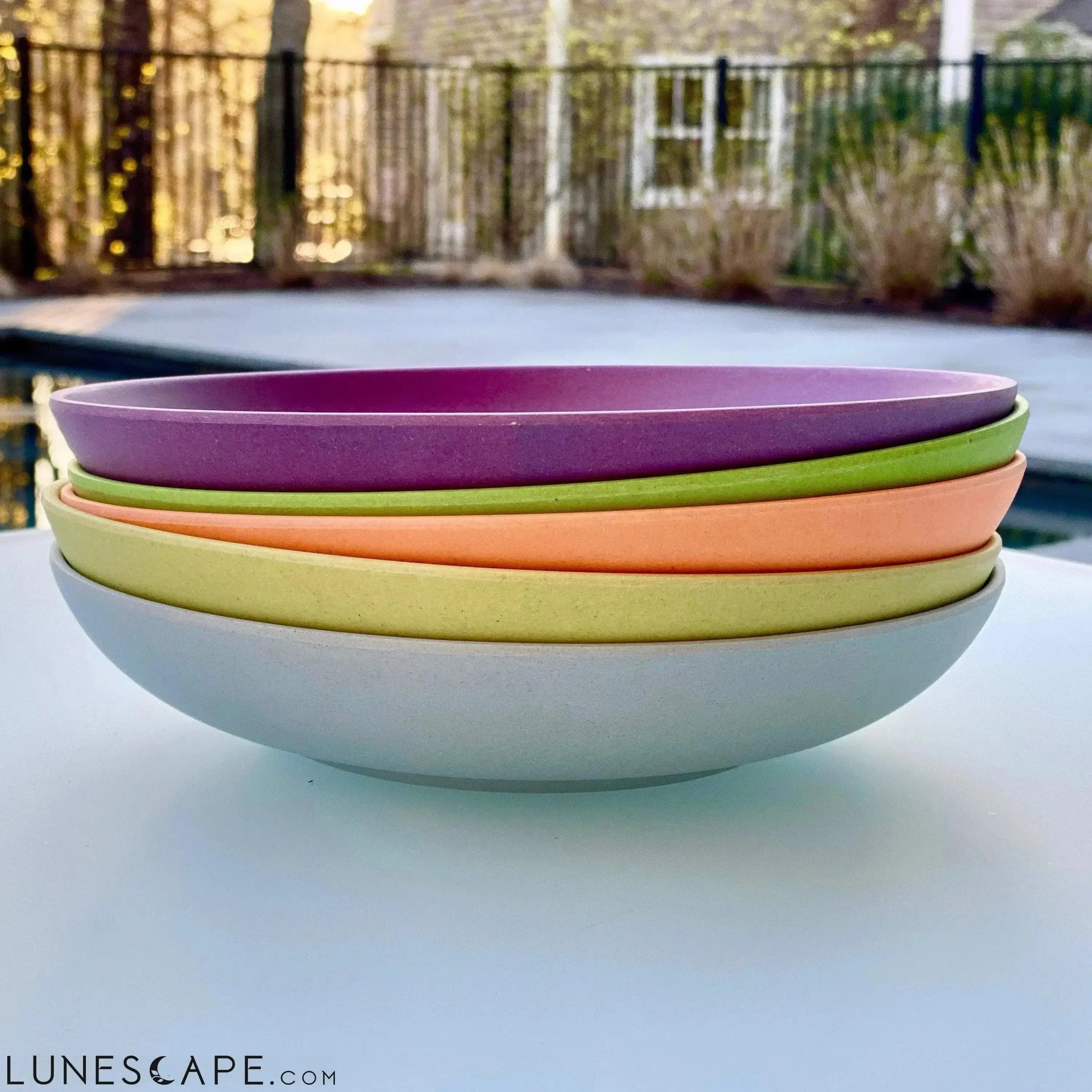 Deep Dish Plate - Bowl Combo LUNESCAPE