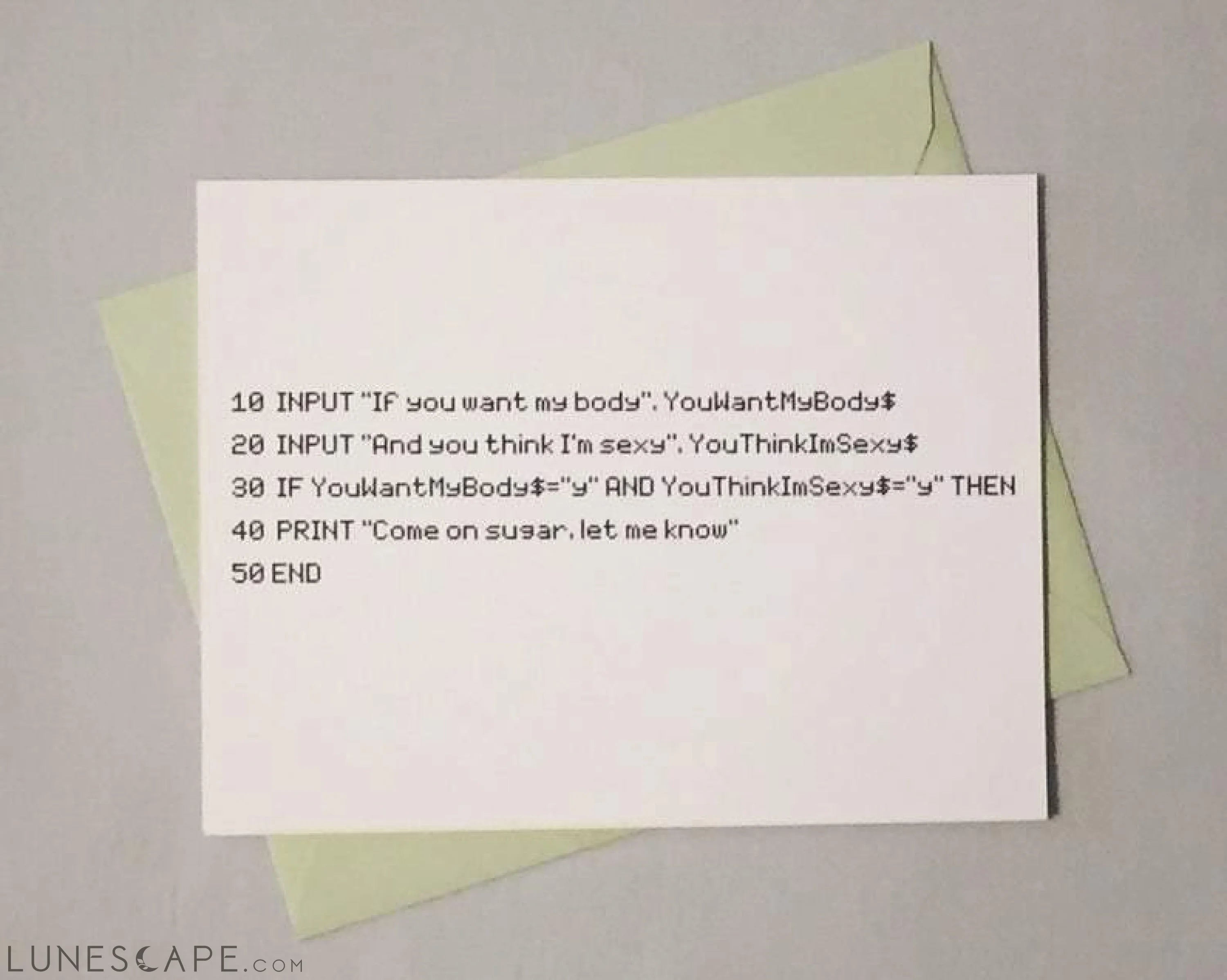 Do You Think I'm Sexy? BASICally Awesome Computer Programming Card LUNESCAPE