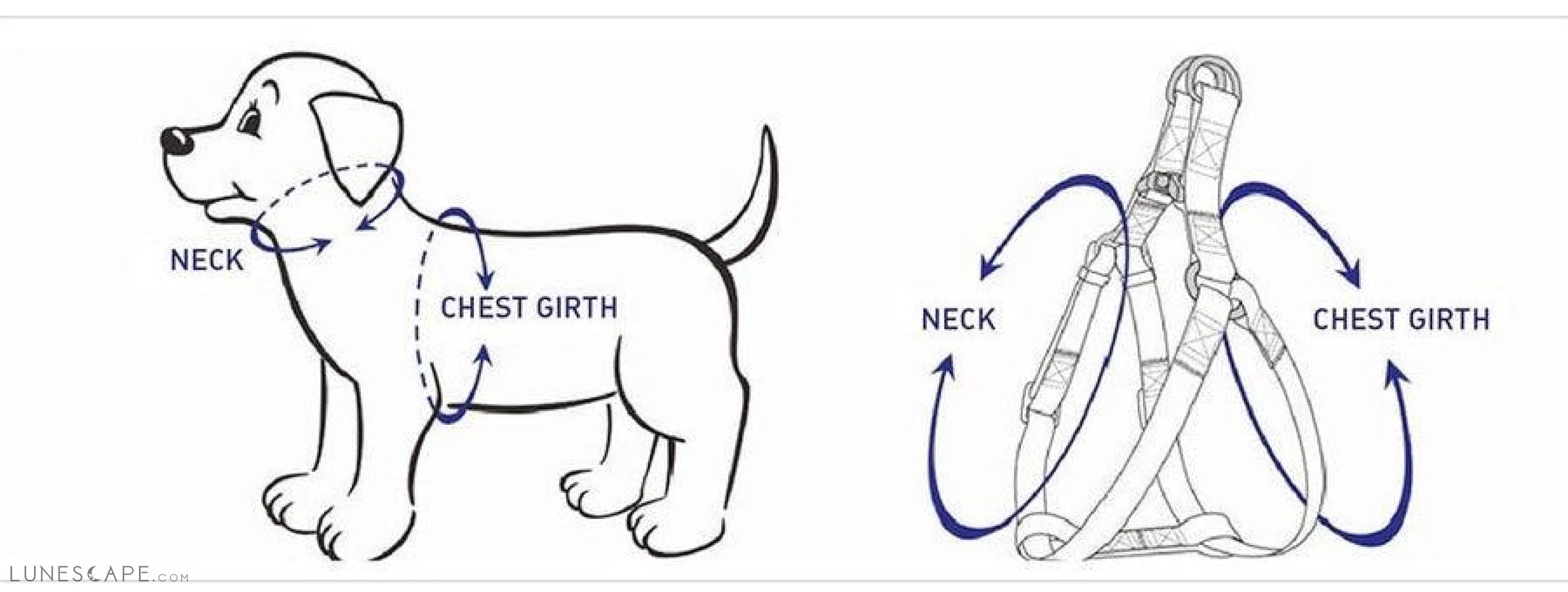 Dog Harness, Leash & Bandana Step in Bundle - Light Blue (5 Pieces) LUNESCAPE