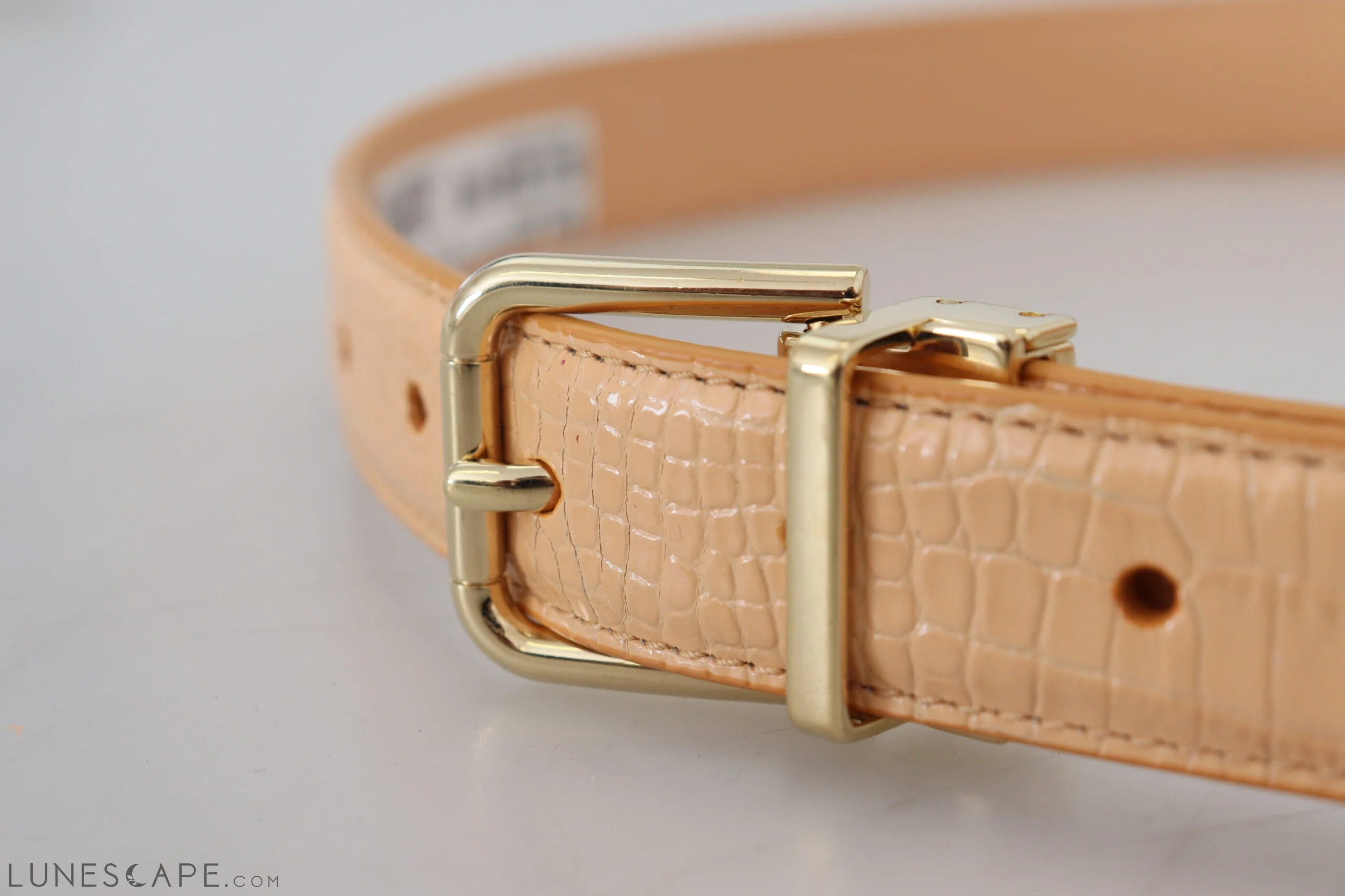 Dolce & Gabbana Beige Exotic Leather Gold Metal Buckle Belt LUNESCAPE