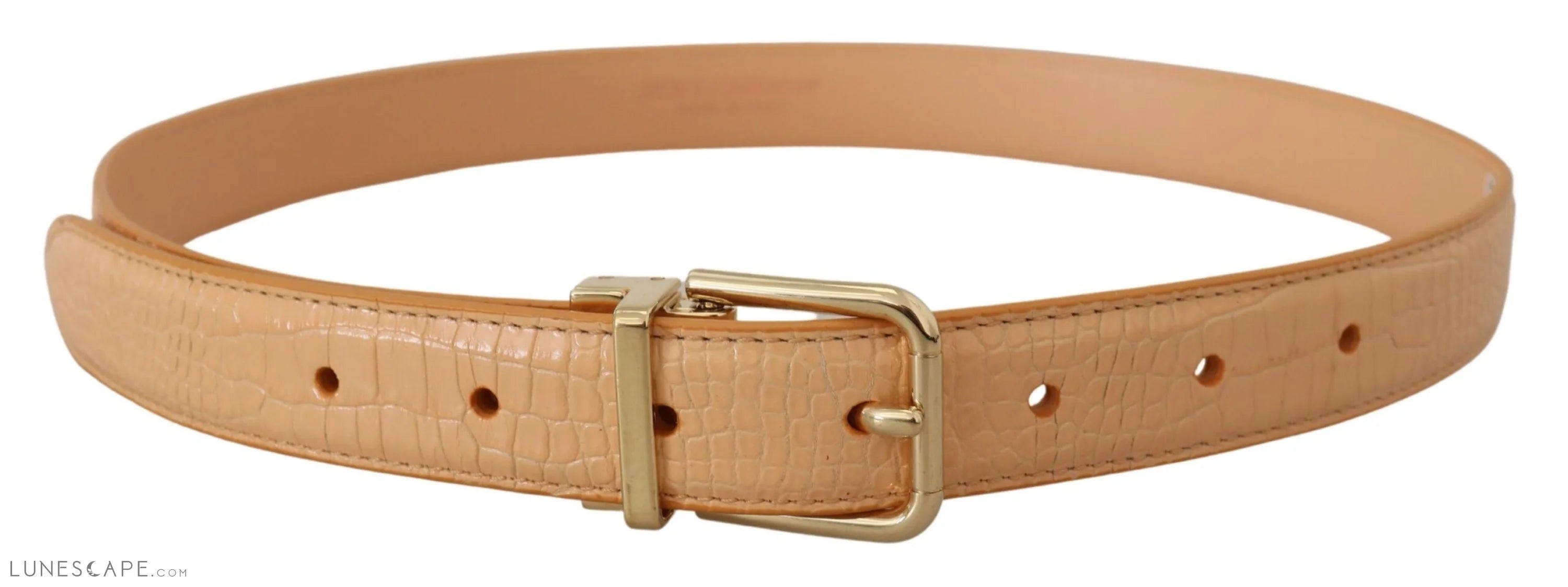 Dolce & Gabbana Beige Exotic Leather Gold Metal Buckle Belt LUNESCAPE