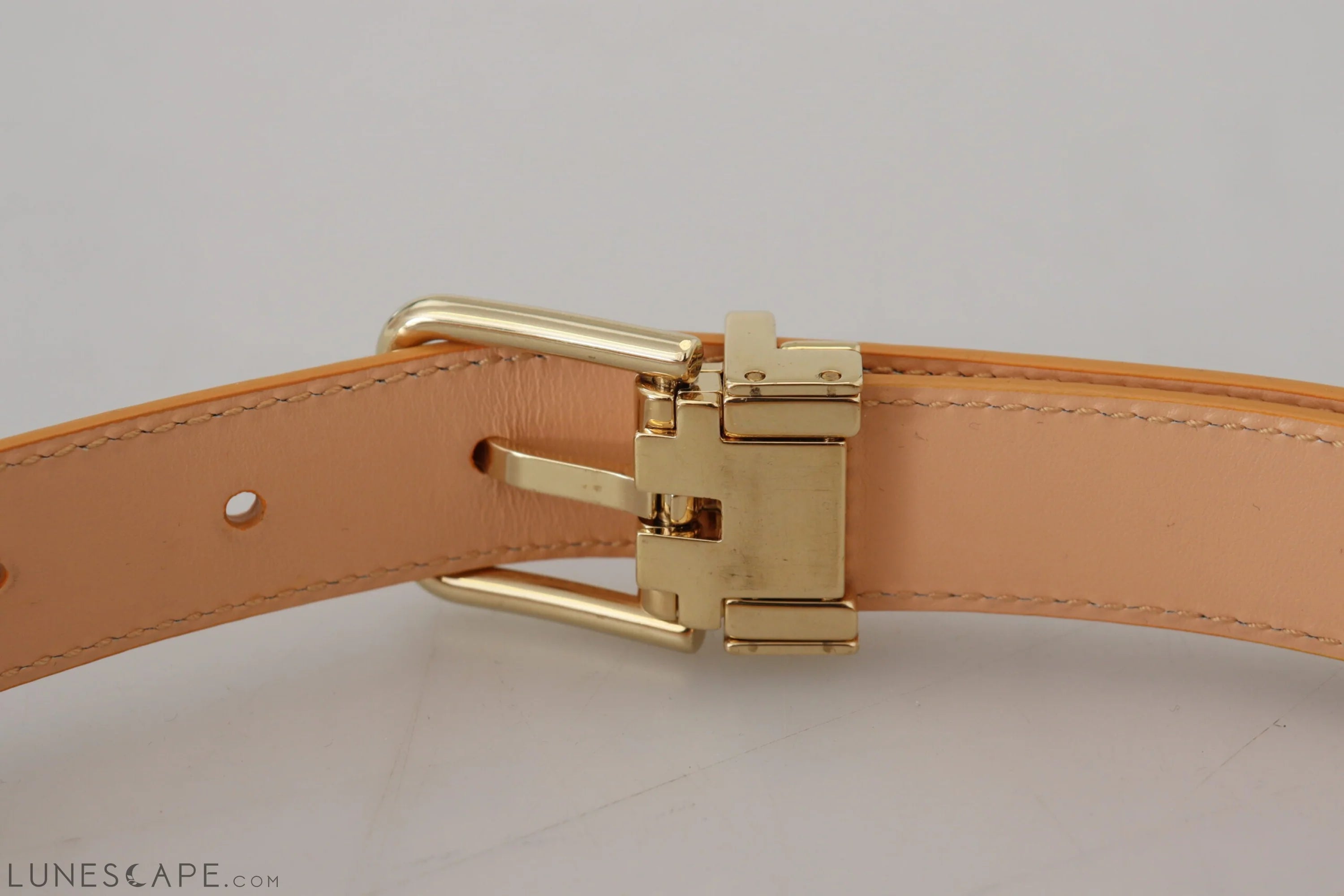 Dolce & Gabbana Beige Exotic Leather Gold Metal Buckle Belt LUNESCAPE