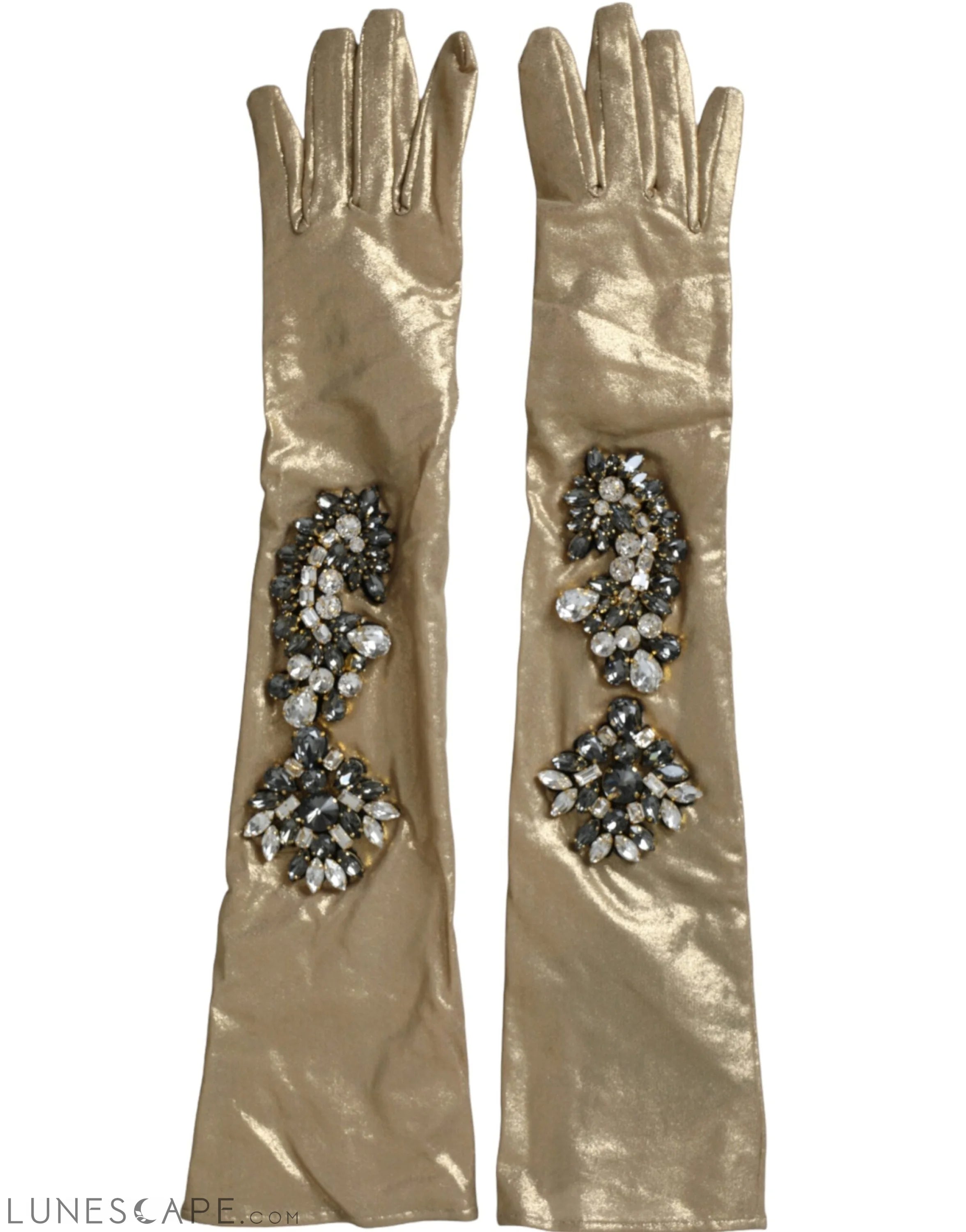 Dolce & Gabbana Beige Satin Crystal Elbow Length Gloves LUNESCAPE