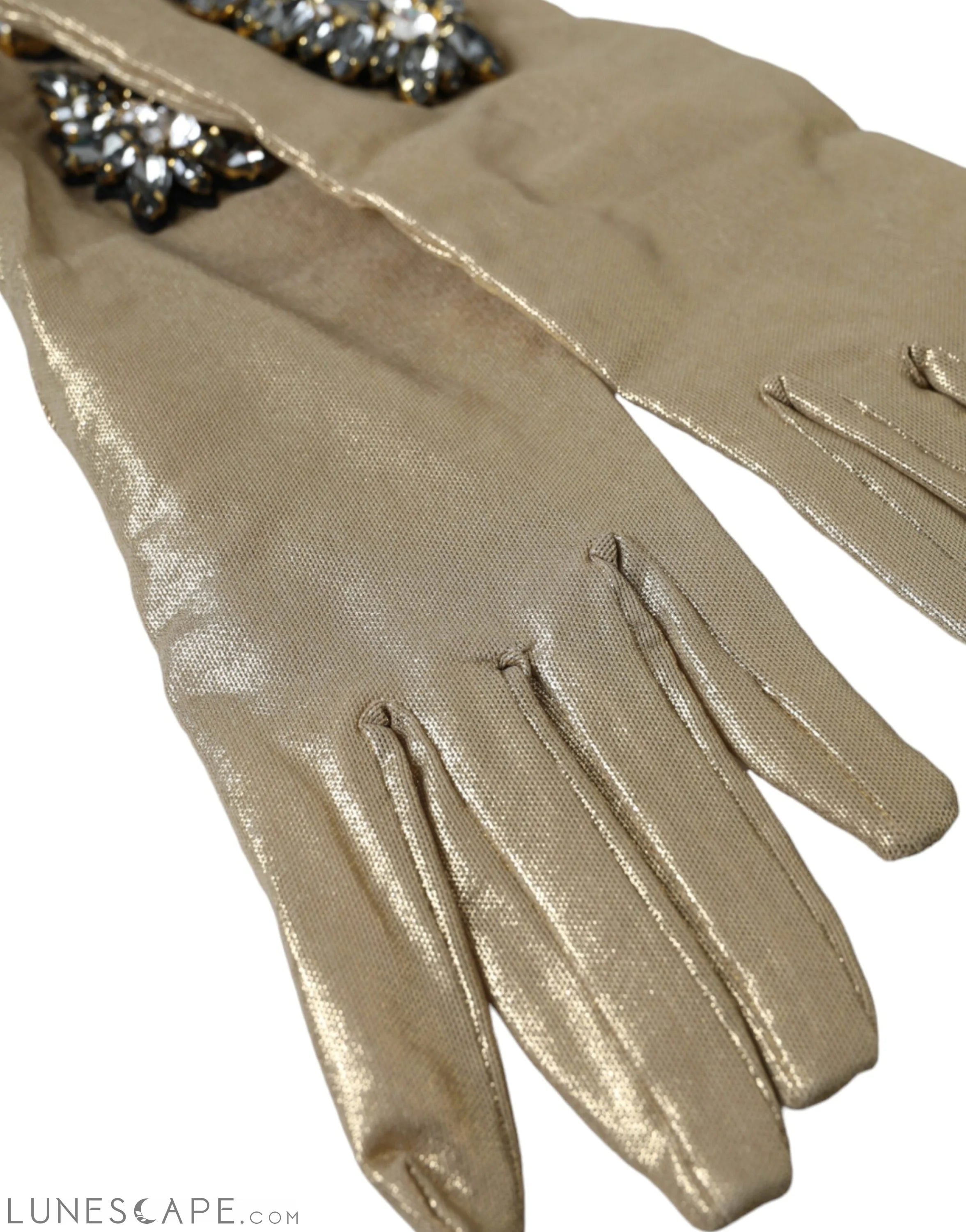 Dolce & Gabbana Beige Satin Crystal Elbow Length Gloves LUNESCAPE