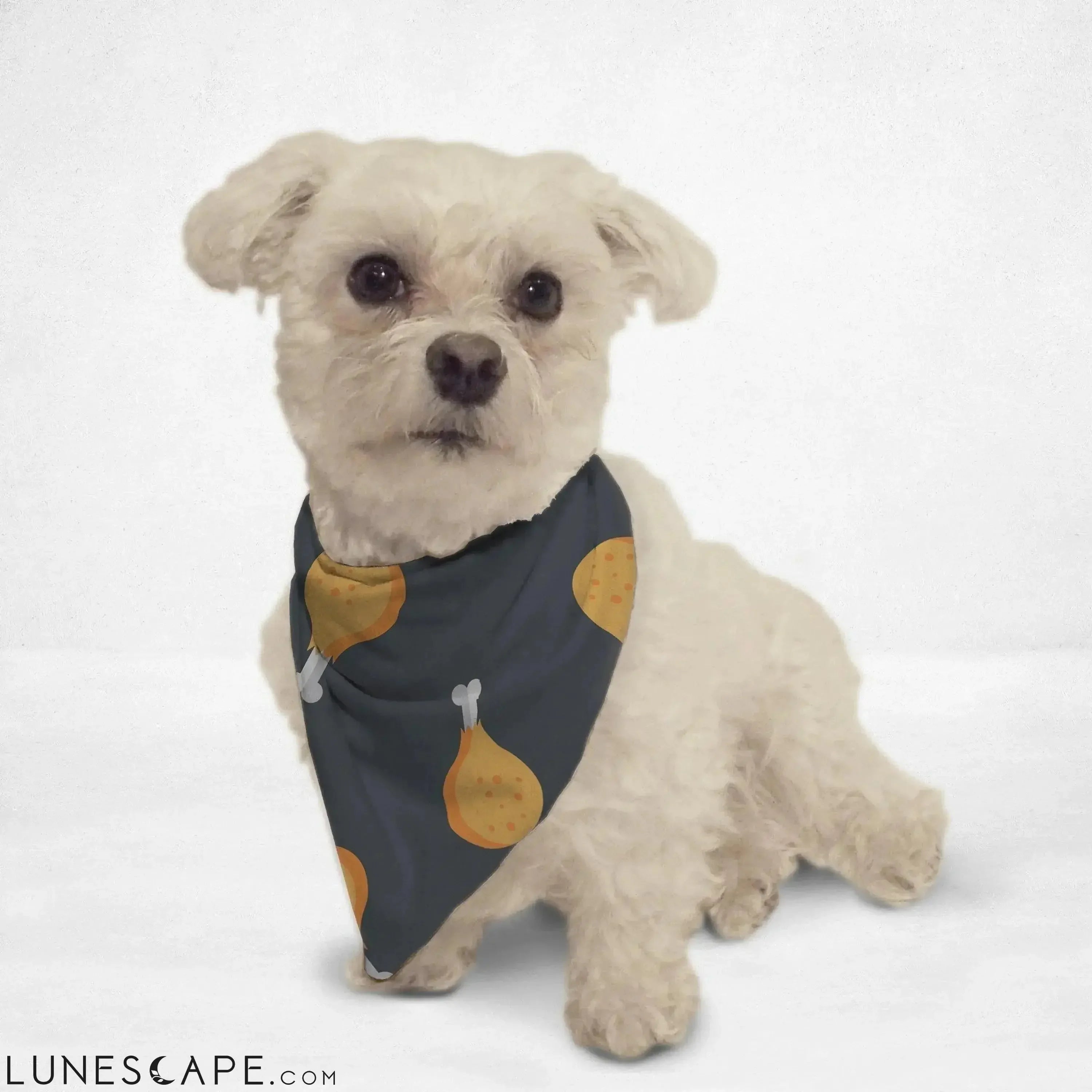 Drumsticks Cat & Dog Bandana LUNESCAPE