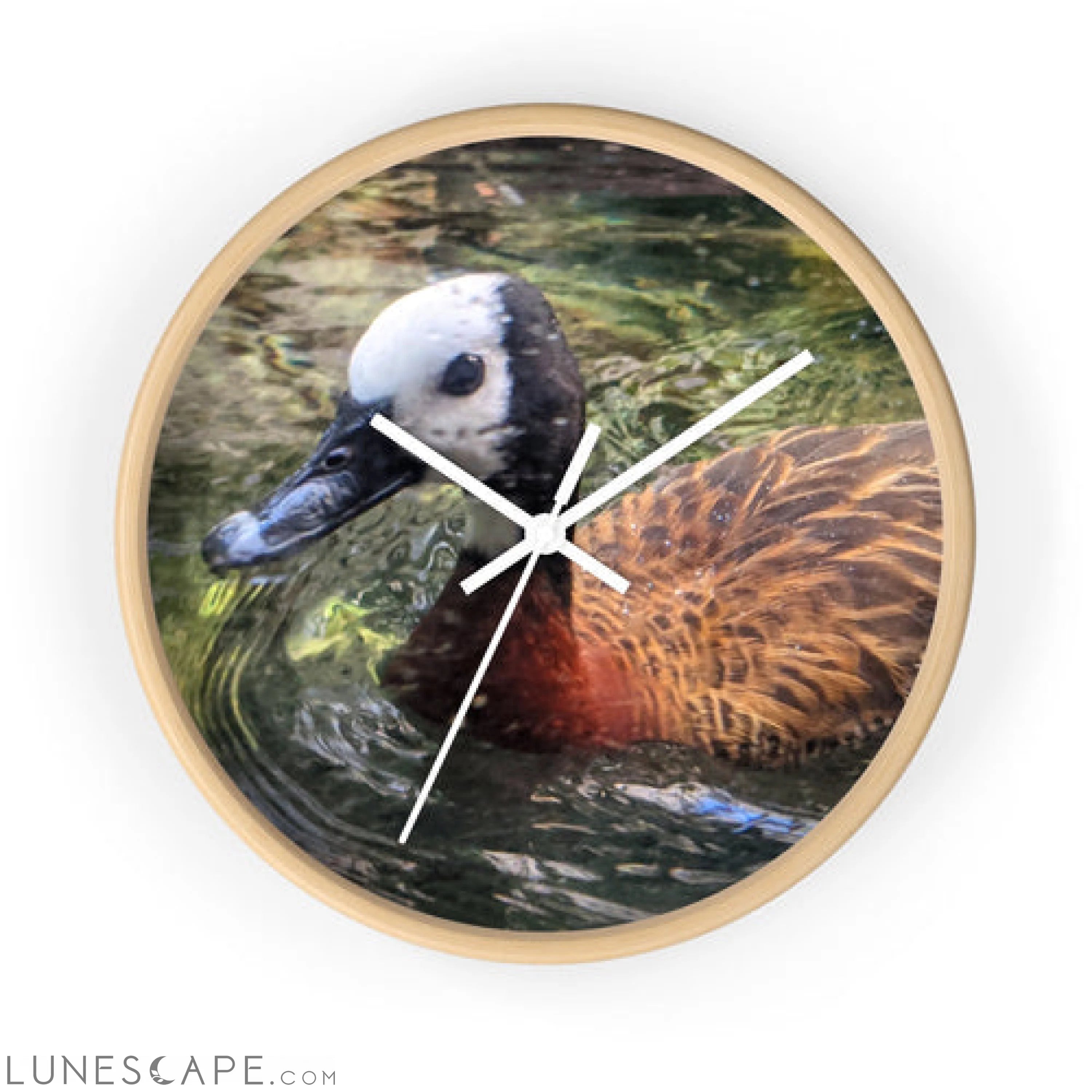 Duck Wall clock LUNESCAPE