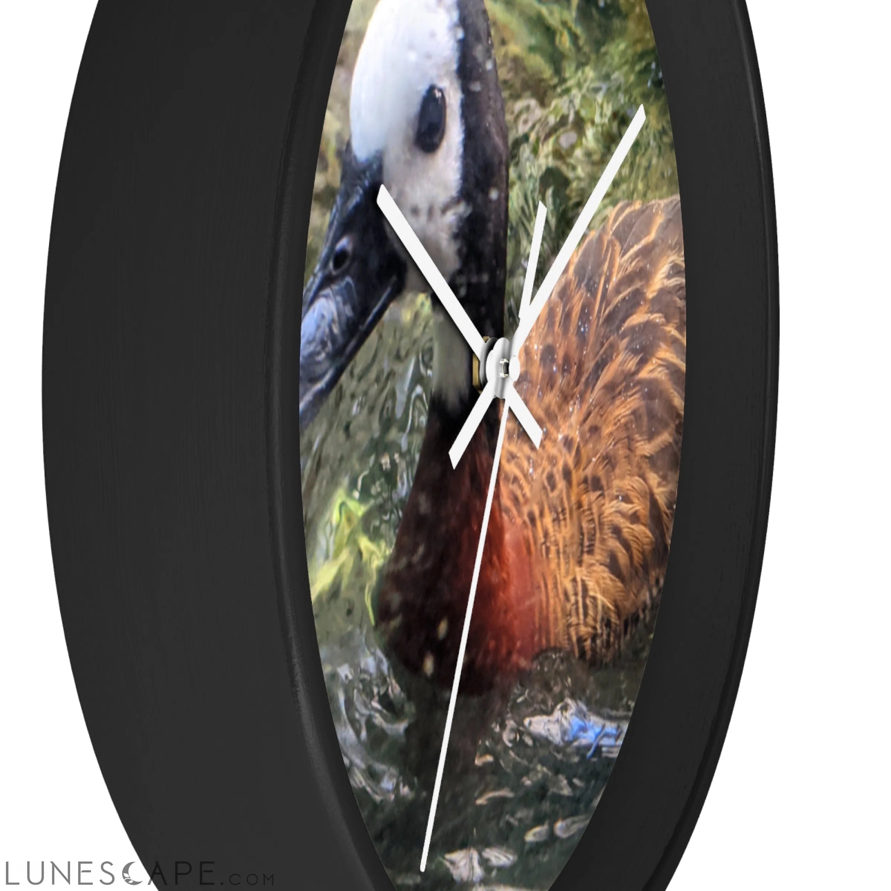 Duck Wall clock LUNESCAPE