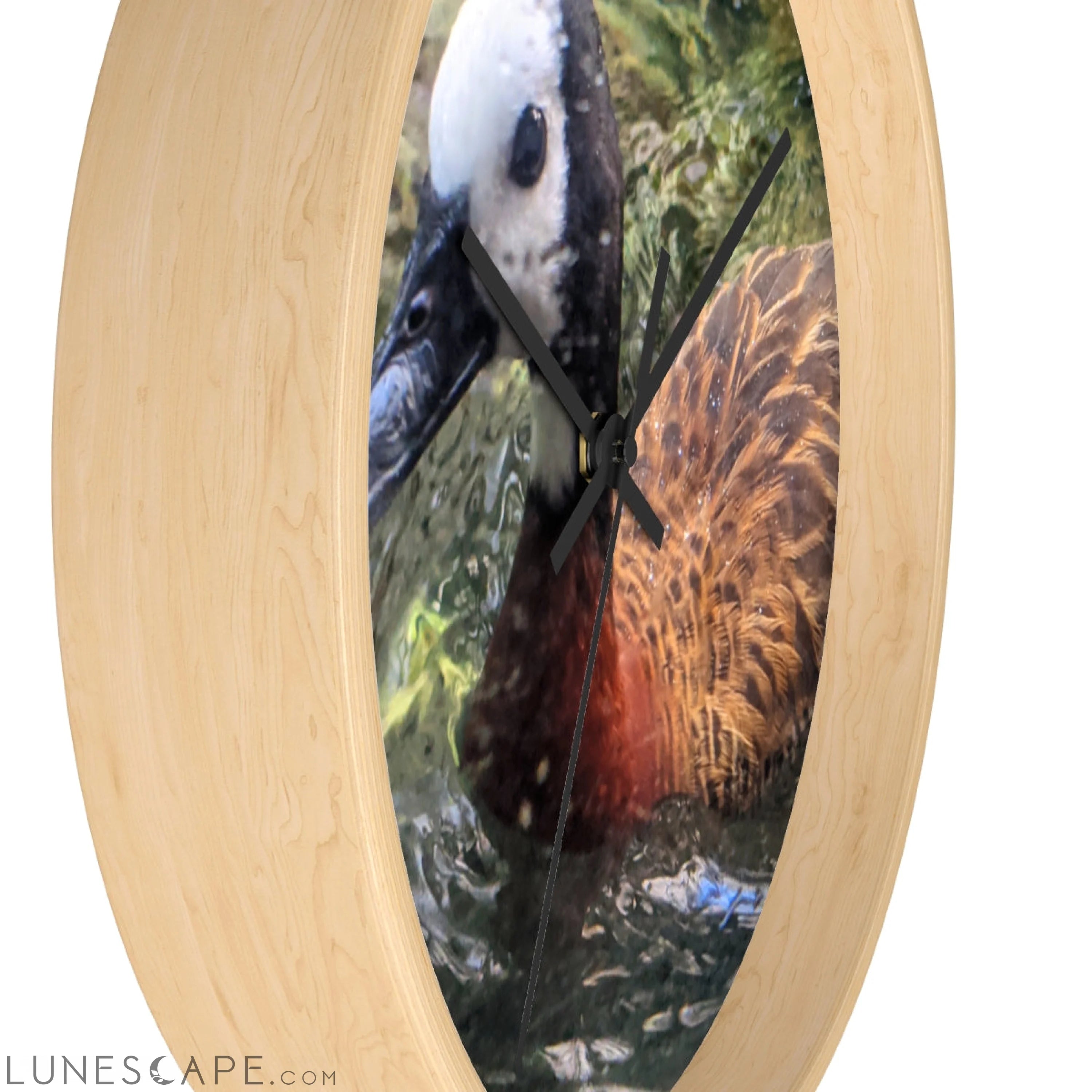 Duck Wall clock LUNESCAPE