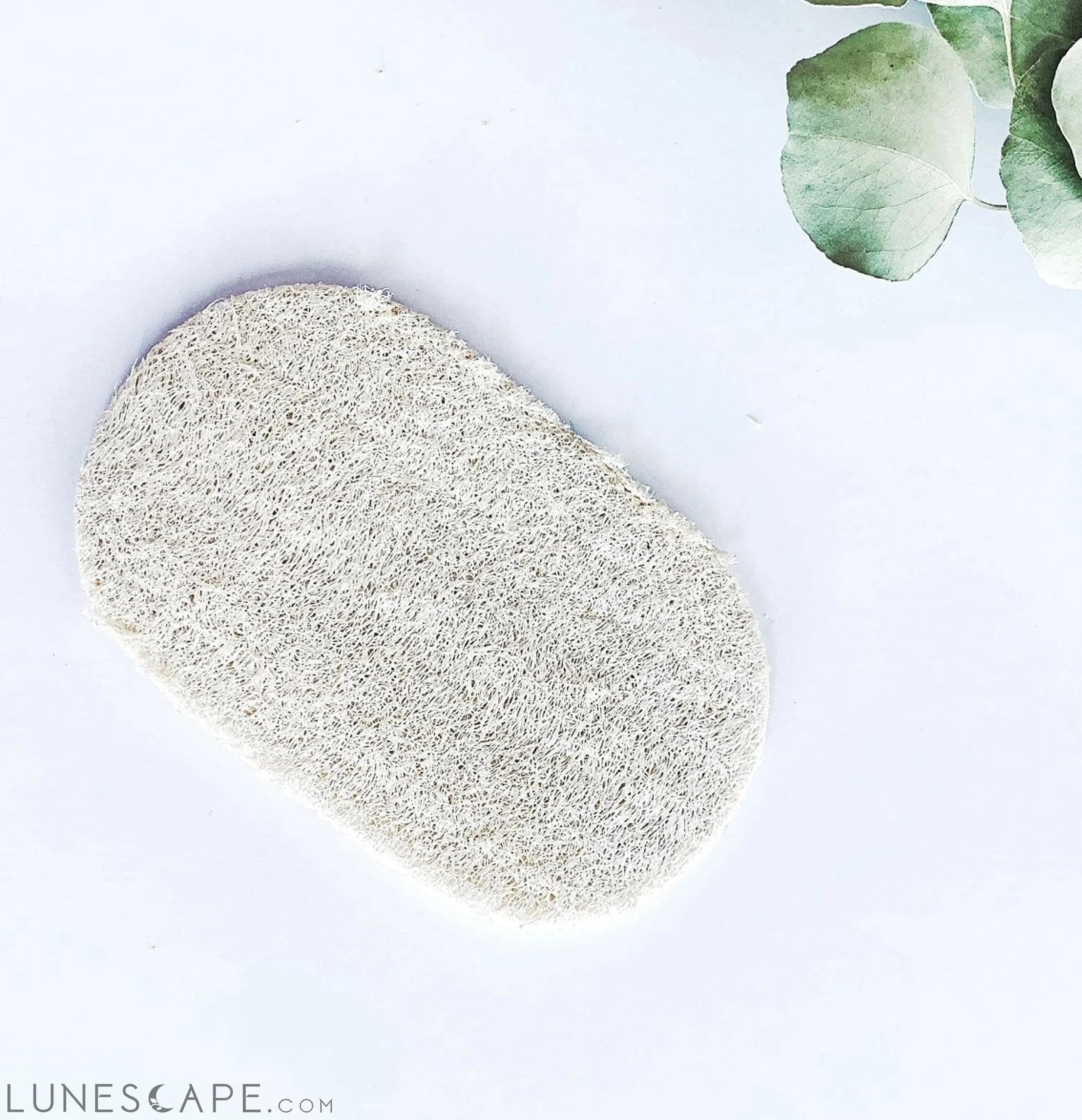 Eco Dish Sponges: Single Layer 3-Pack LUNESCAPE