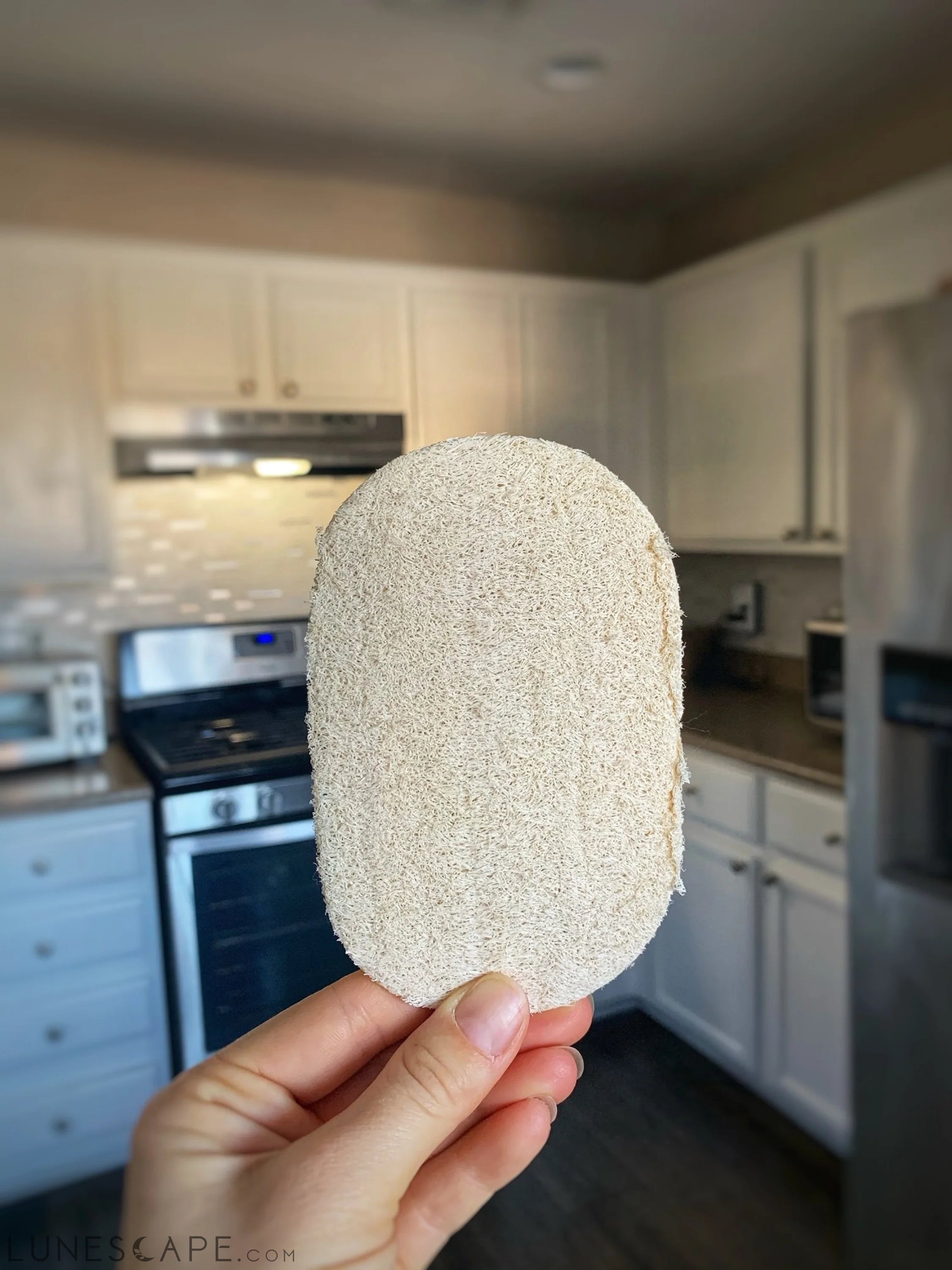 Eco Dish Sponges: Single Layer 3-Pack LUNESCAPE