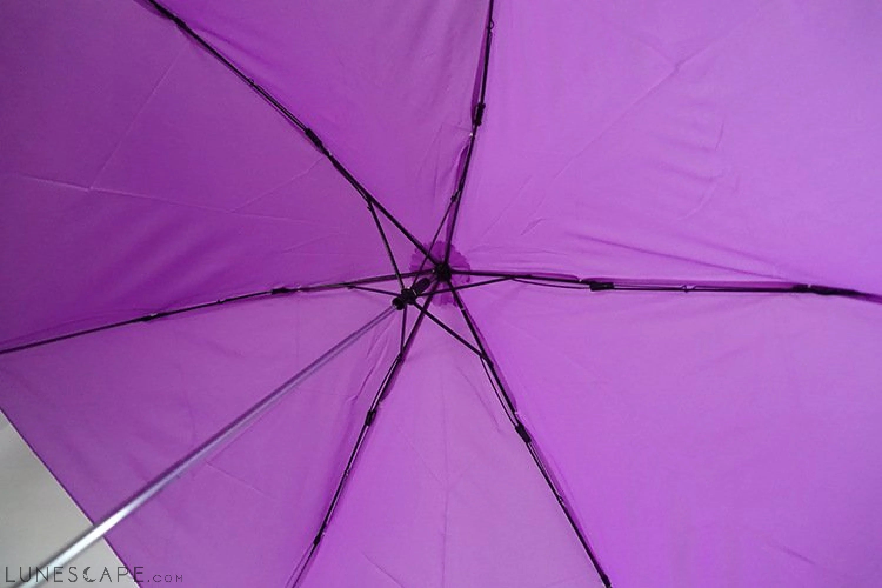 Eggplant Shaped Umbrella LUNESCAPE