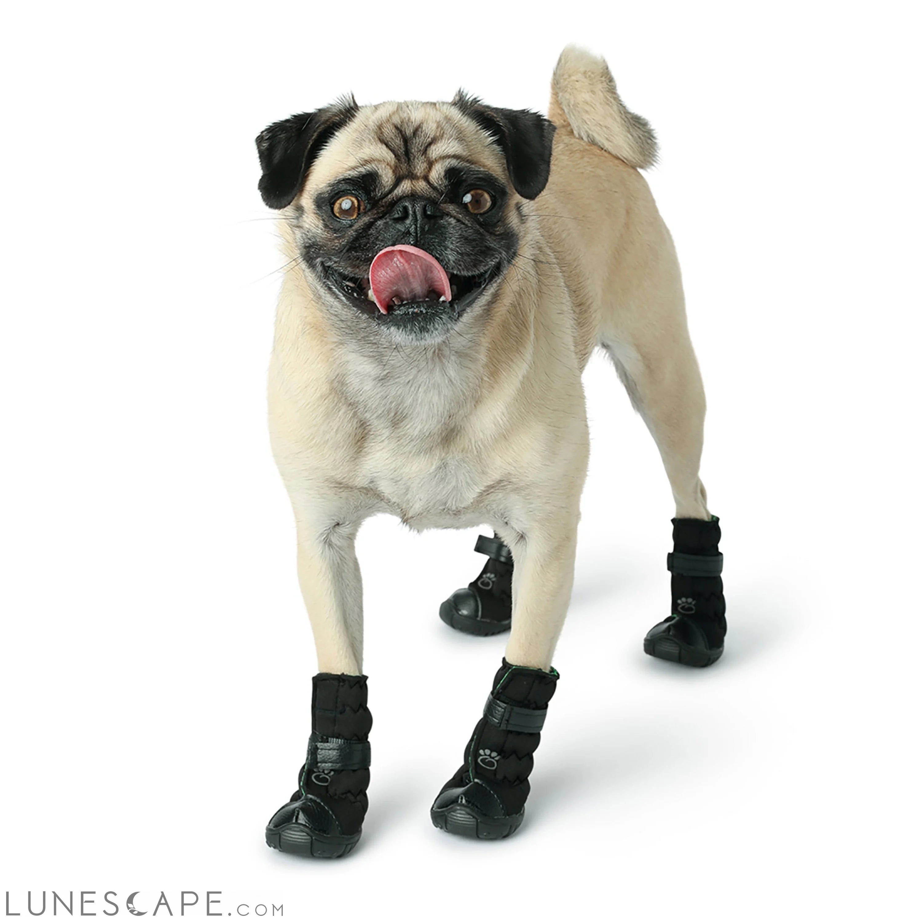 Elasto-Fit Dog Boots - Black LUNESCAPE