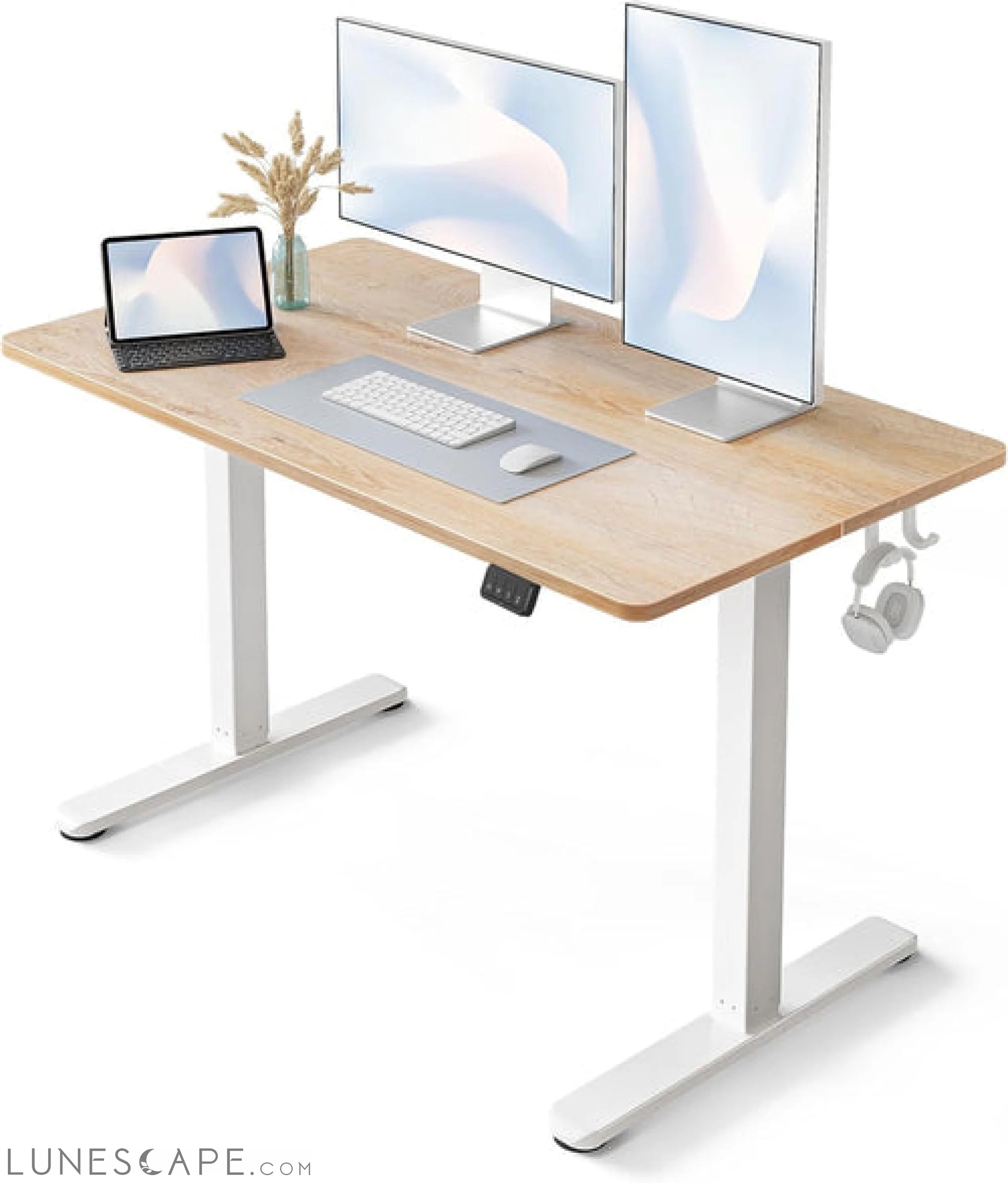 Electric Standing Desk, 48 X 24 Inches Height Adjustable Stand up LUNESCAPE