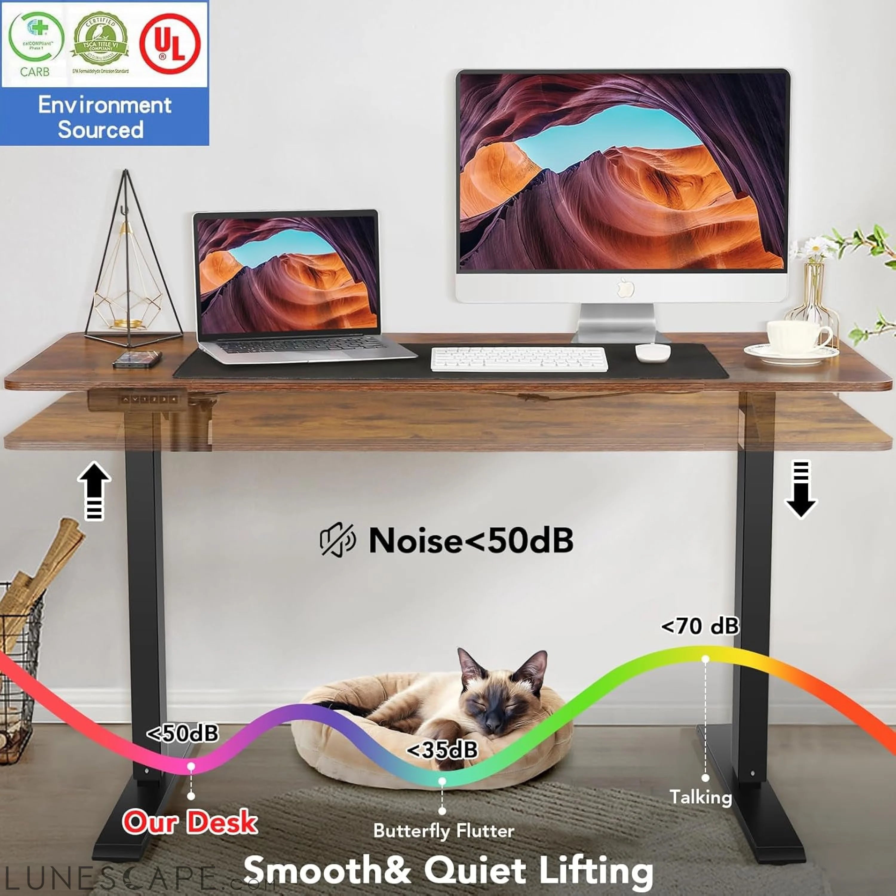Electric Standing Desk Adjustable Height, 55 X 24 Inch Sit Stand up LUNESCAPE