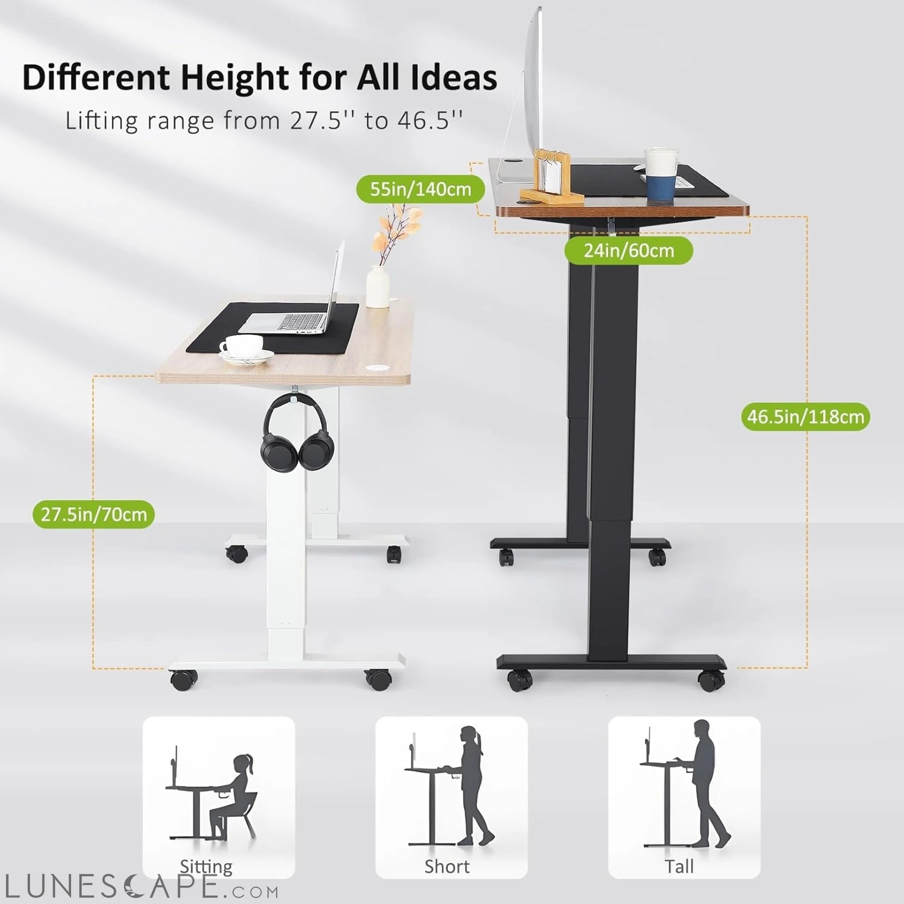 Electric Standing Desk Adjustable Height, 55 X 24 Inch Sit Stand up LUNESCAPE