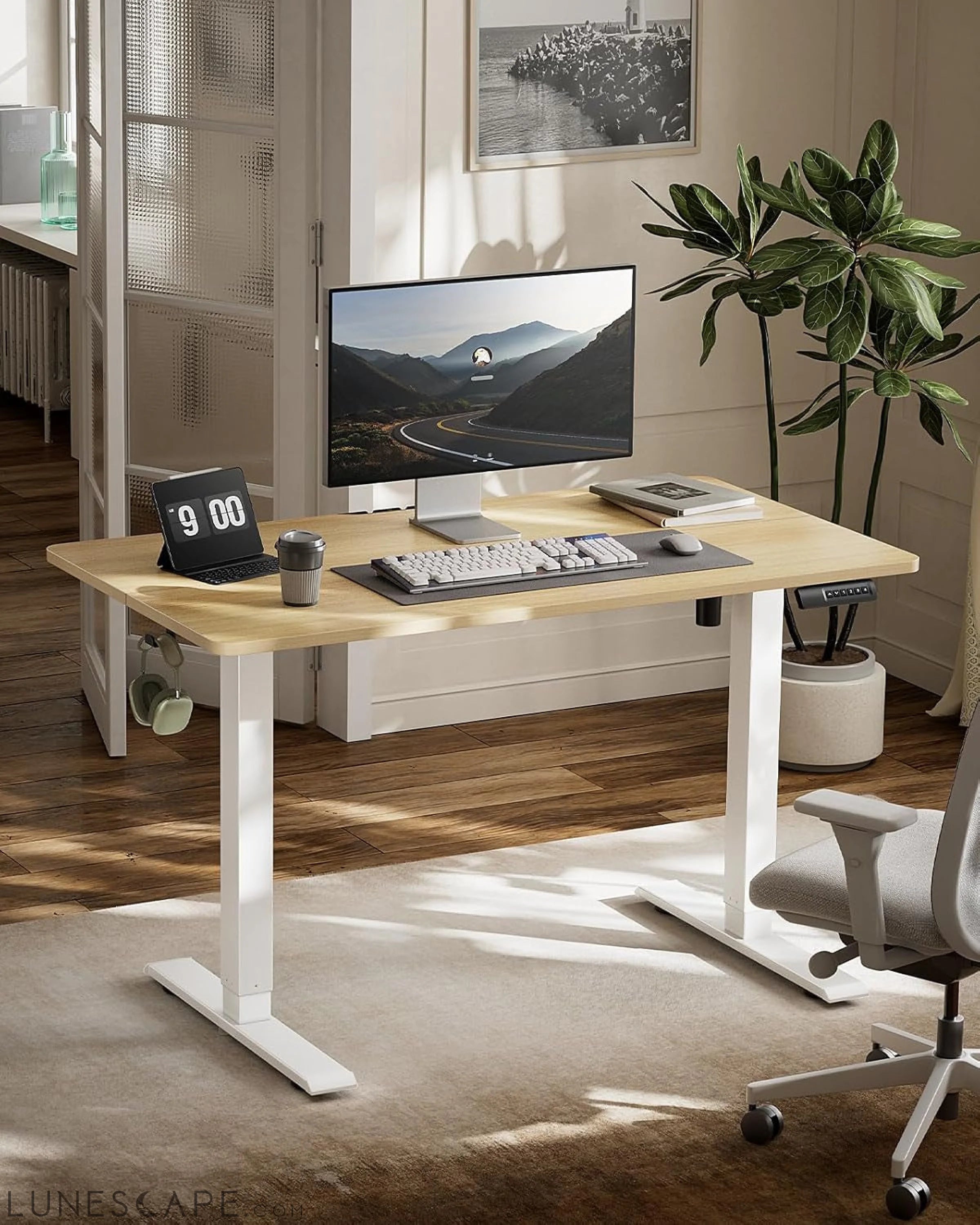 Electric Standing Desk, Adjustable Height Stand up Desk, 48 X 24 LUNESCAPE