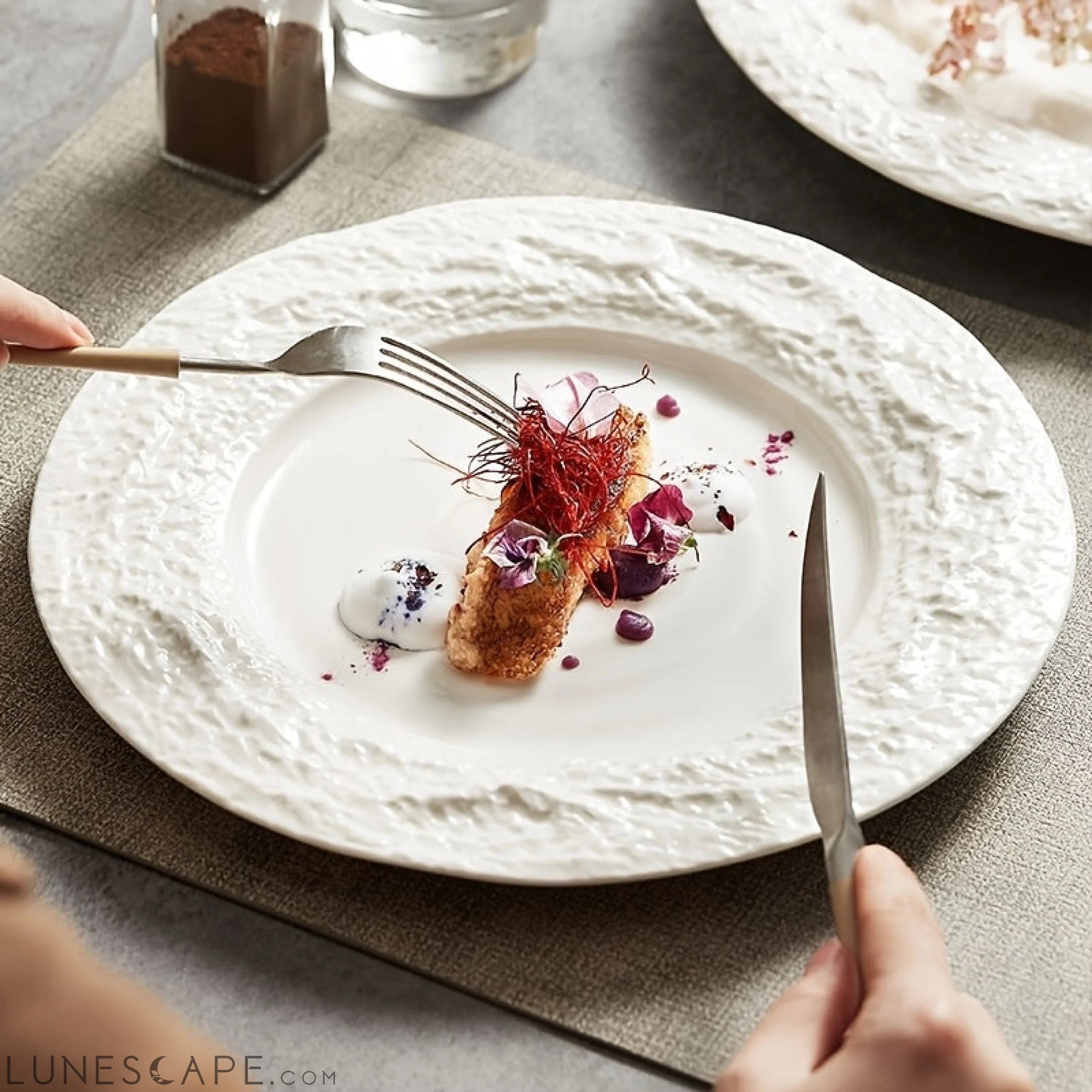 Elegant European Ceramic Dinner Plate with Relief Pattern LUNESCAPE