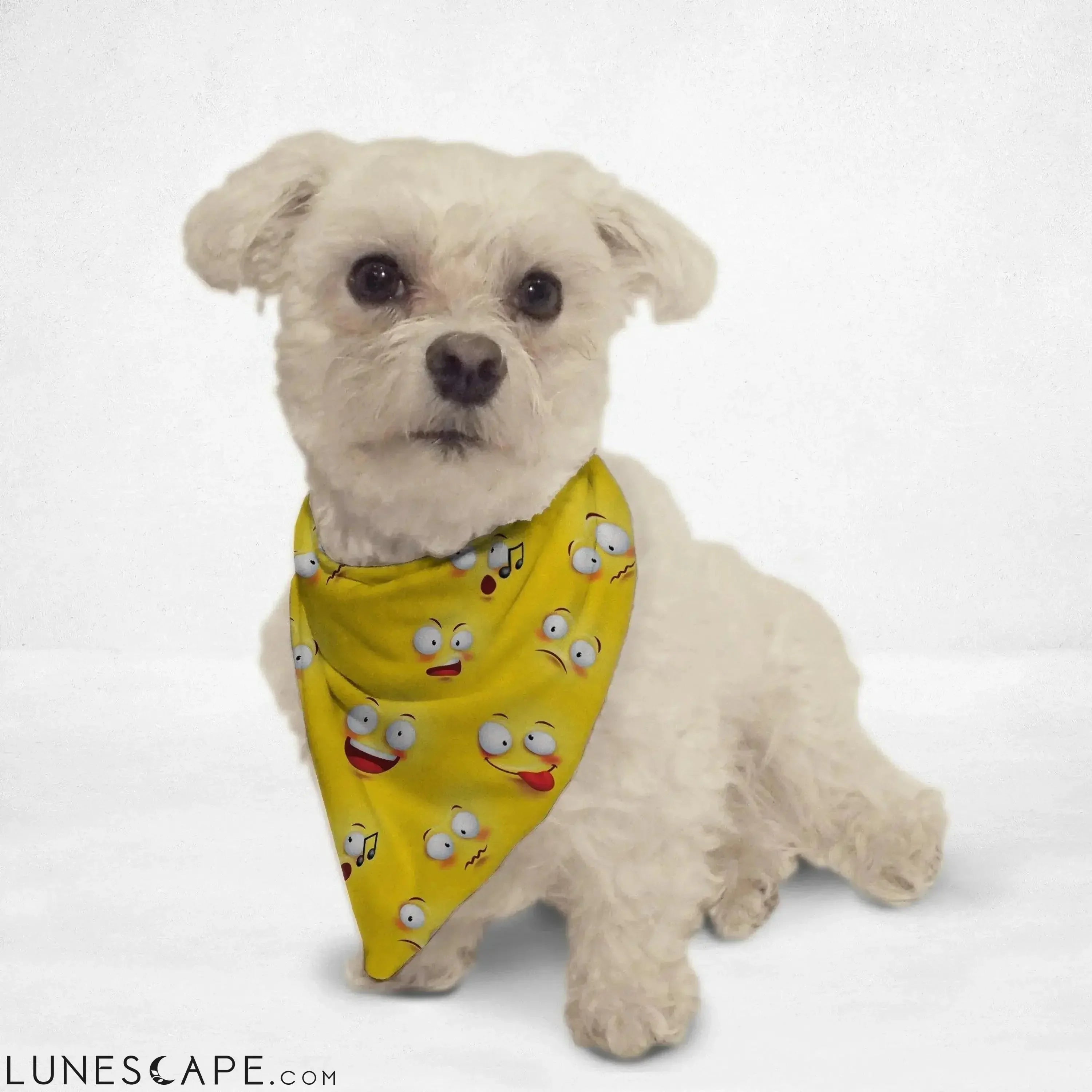 Emoji Wall Cat Bandana LUNESCAPE