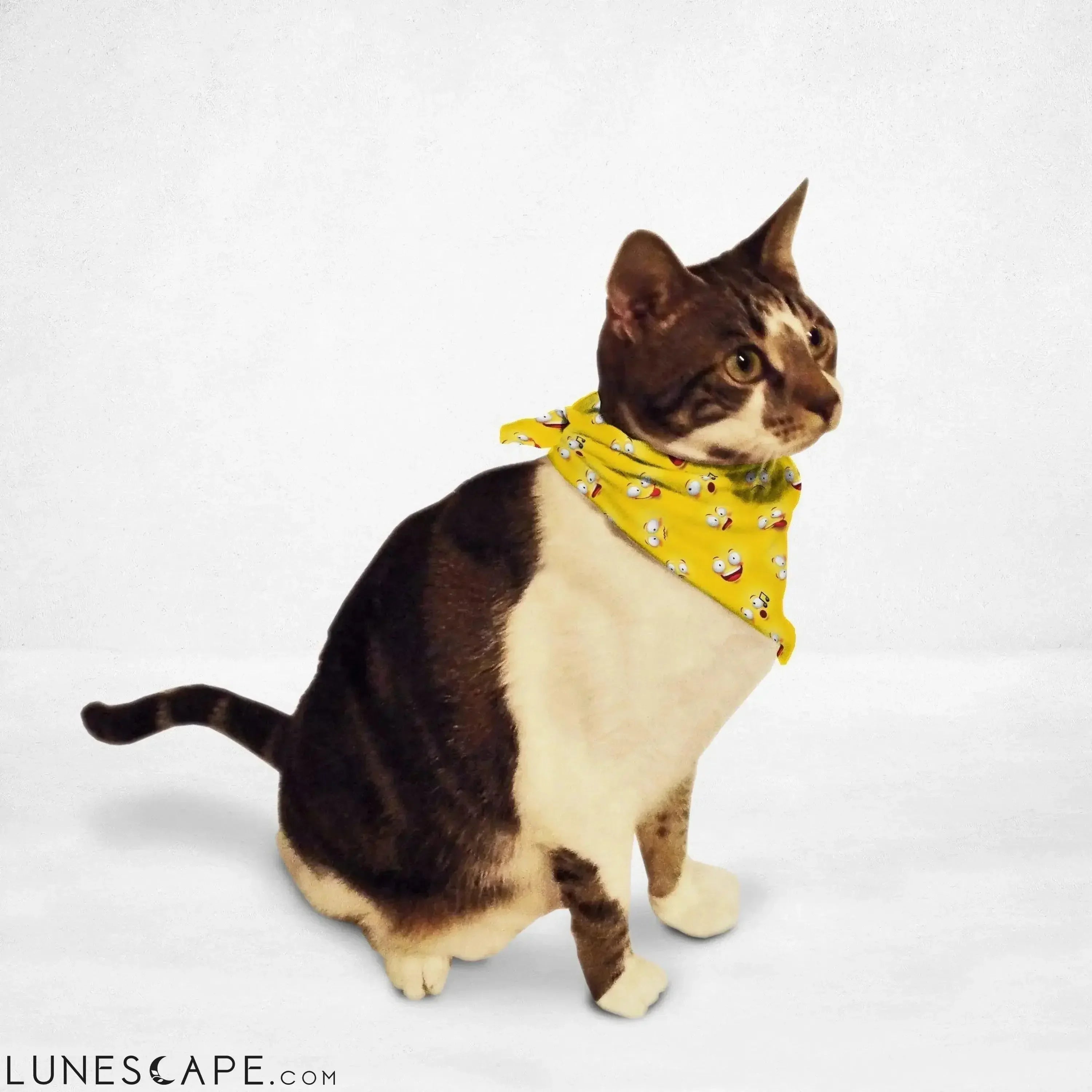 Emoji Wall Cat Bandana LUNESCAPE