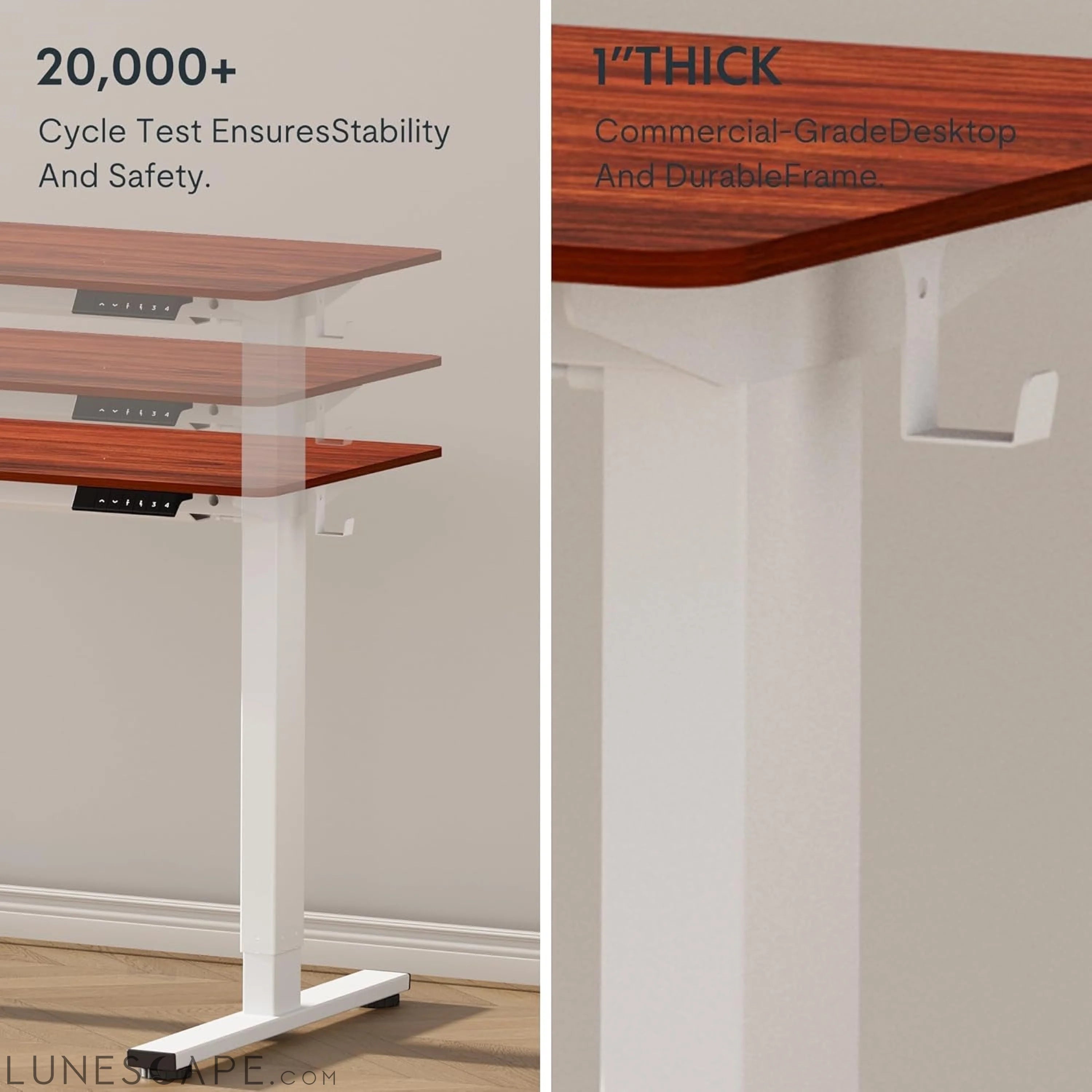 EN1 One Piece Standing Desk 48 X 24 Inch Desktop Electric Adjustable LUNESCAPE