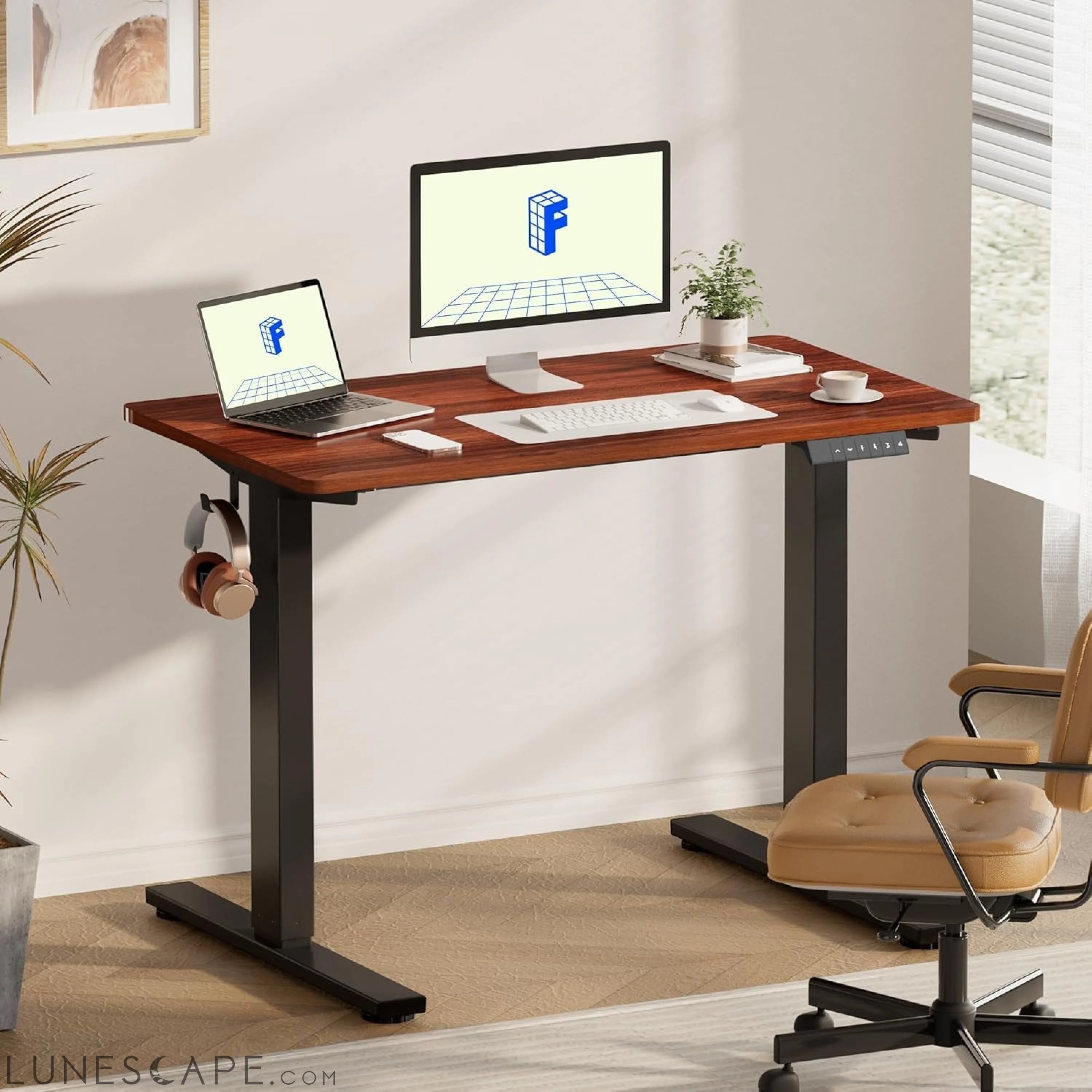EN1 Whole-Piece Standing Desk 48 X 24 Inches Height Adjustable Desk, LUNESCAPE