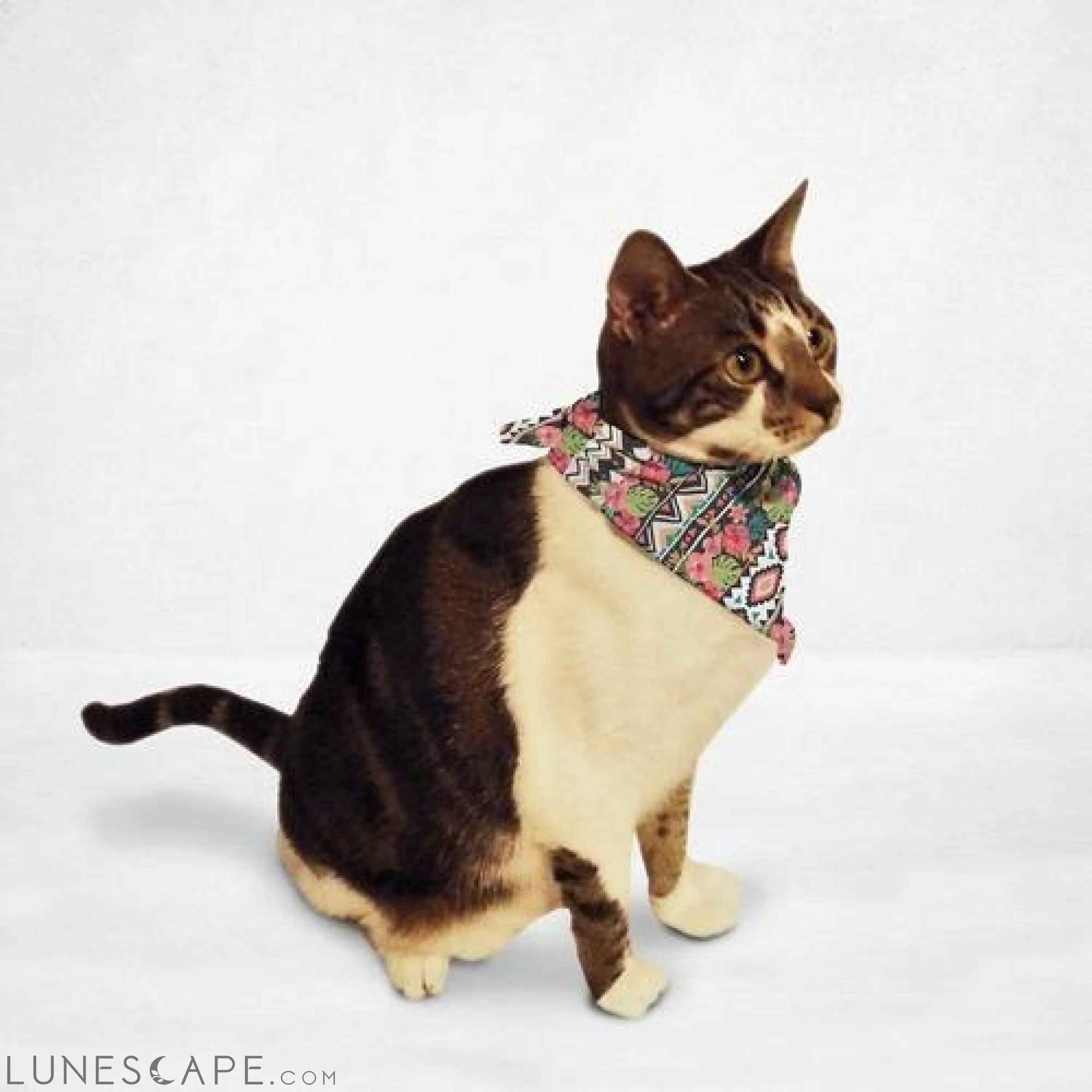 Ethnic Tropical Flowers Cat & Dog Bandana LUNESCAPE