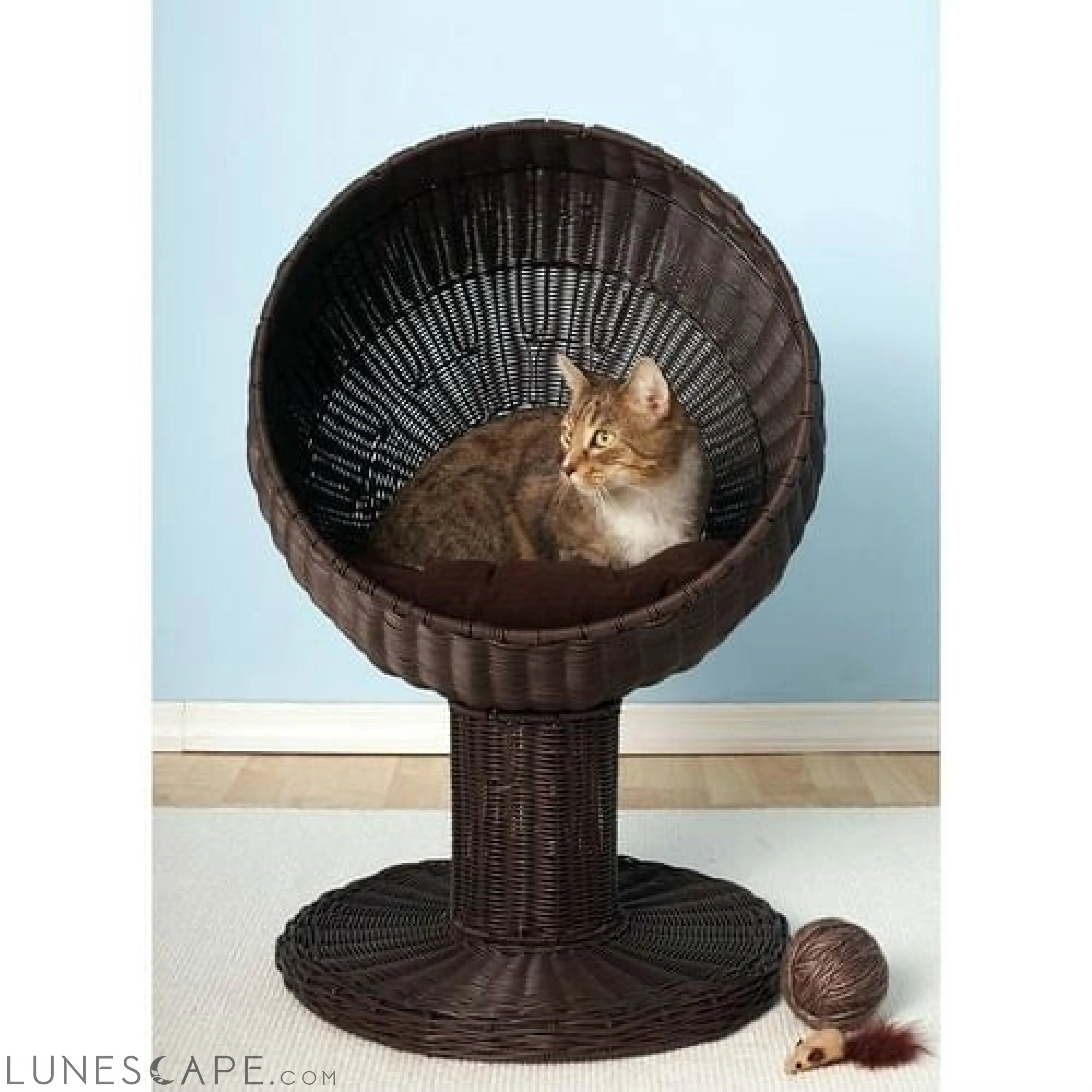 Fancy Cat Espresso Wicker Modern Cat Bed Lounge LUNESCAPE