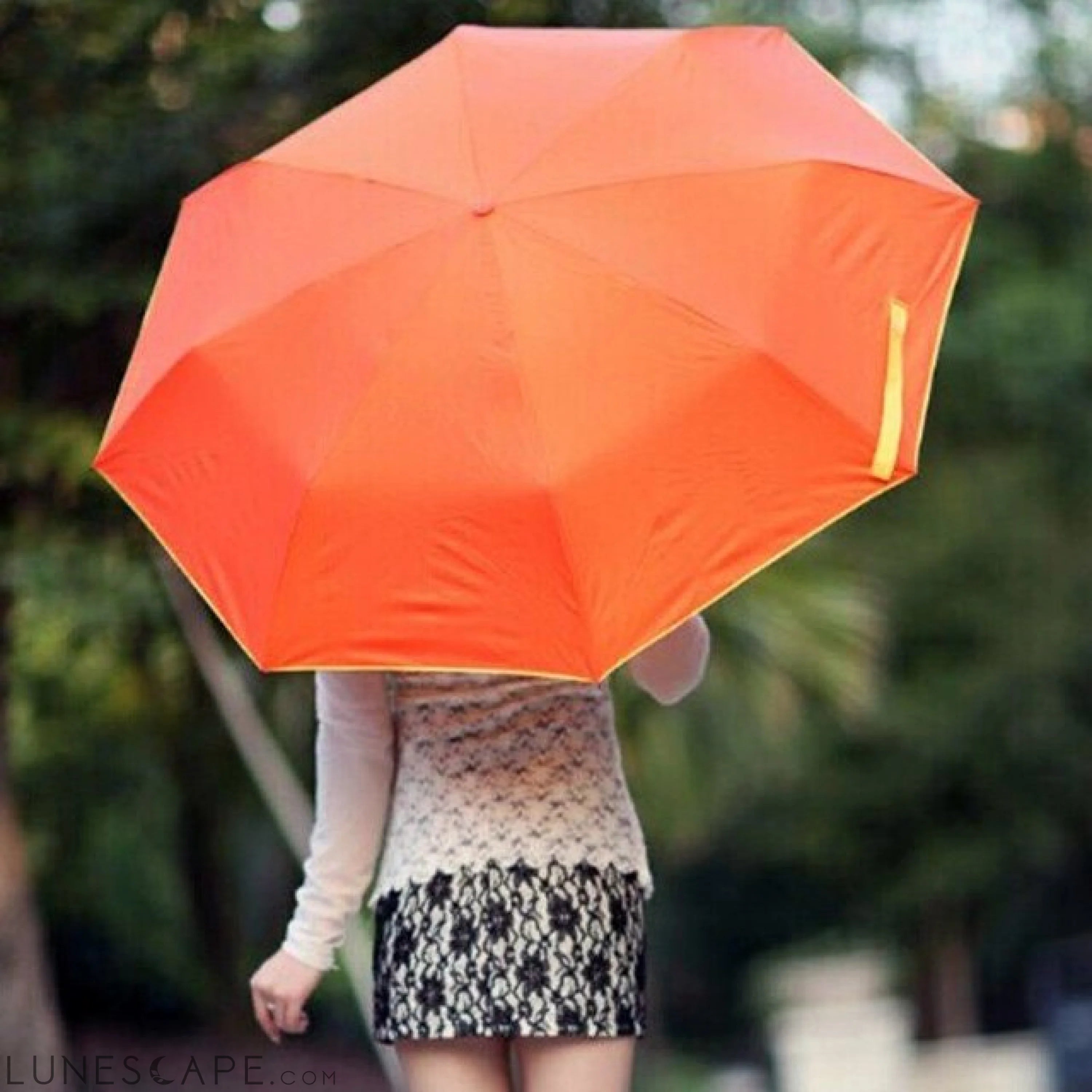 Fashion 3 Folding Umbrella LUNESCAPE