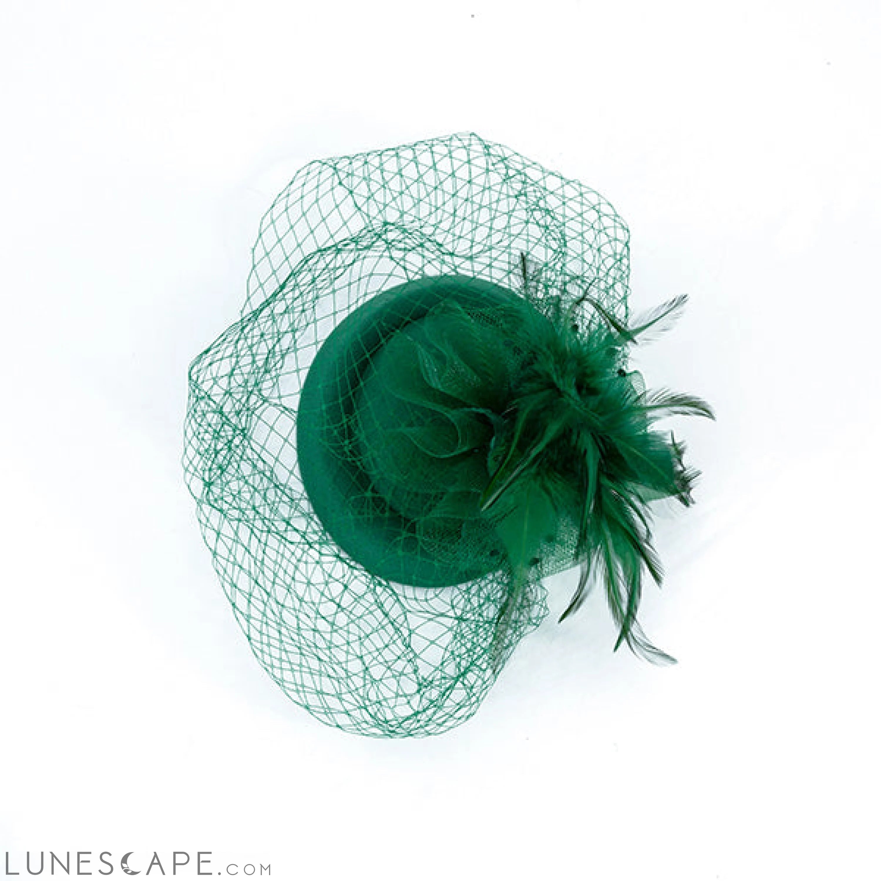 FEATHERED FASCINATOR LUNESCAPE