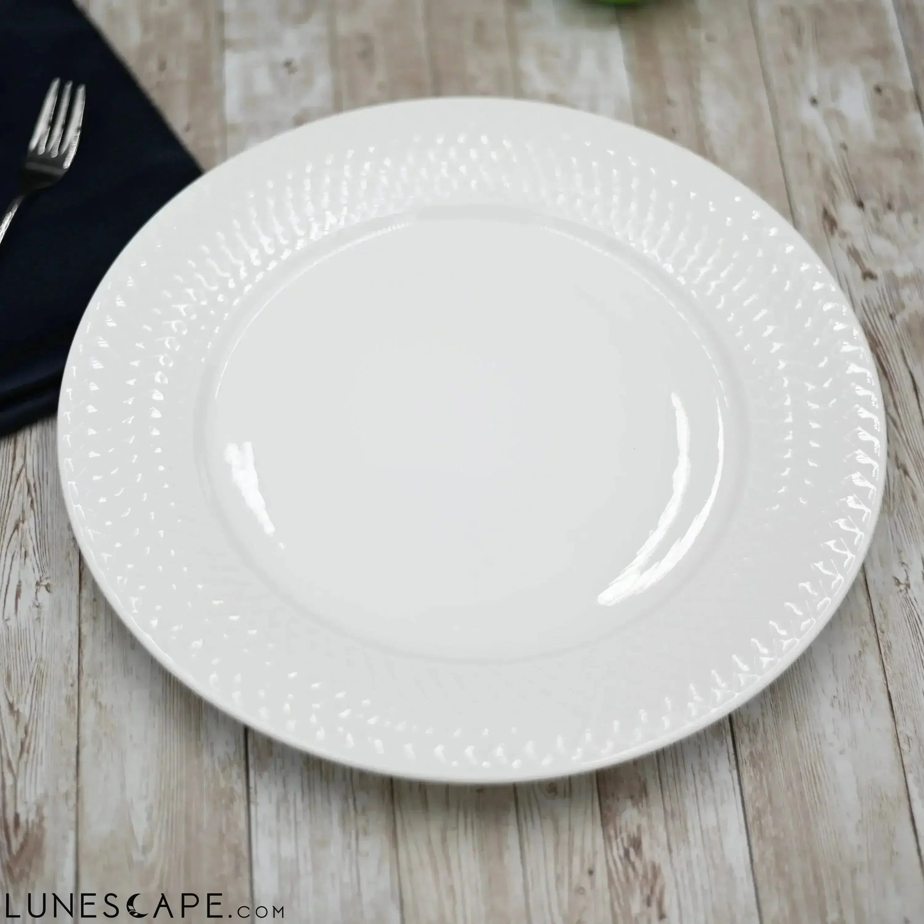 Fine Porcelain Dinner Plates - Set of 6 LUNESCAPE
