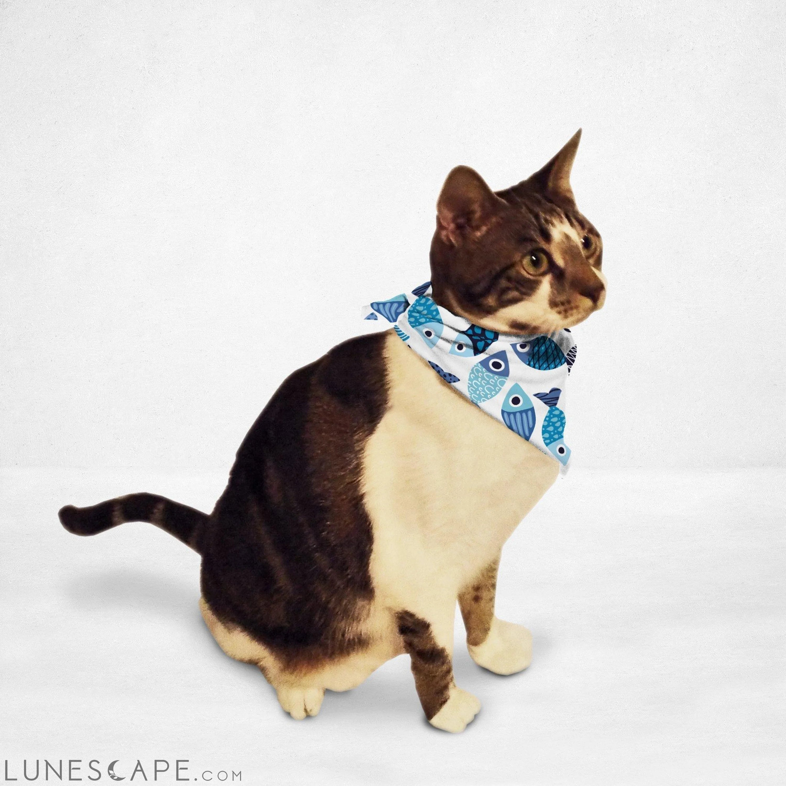 Fishy Cat Bandana LUNESCAPE