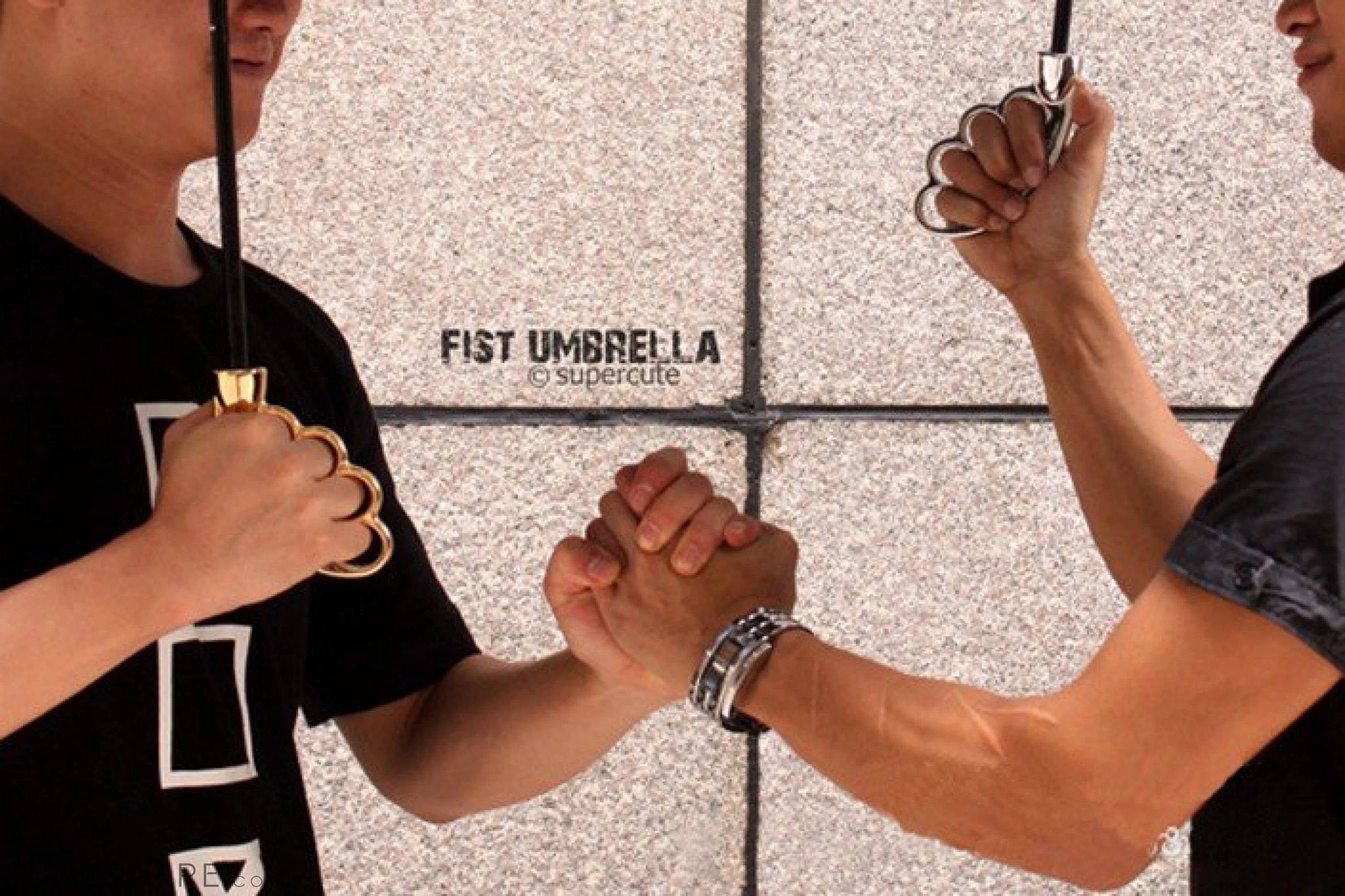Fist 3 Folding Umbrella LUNESCAPE