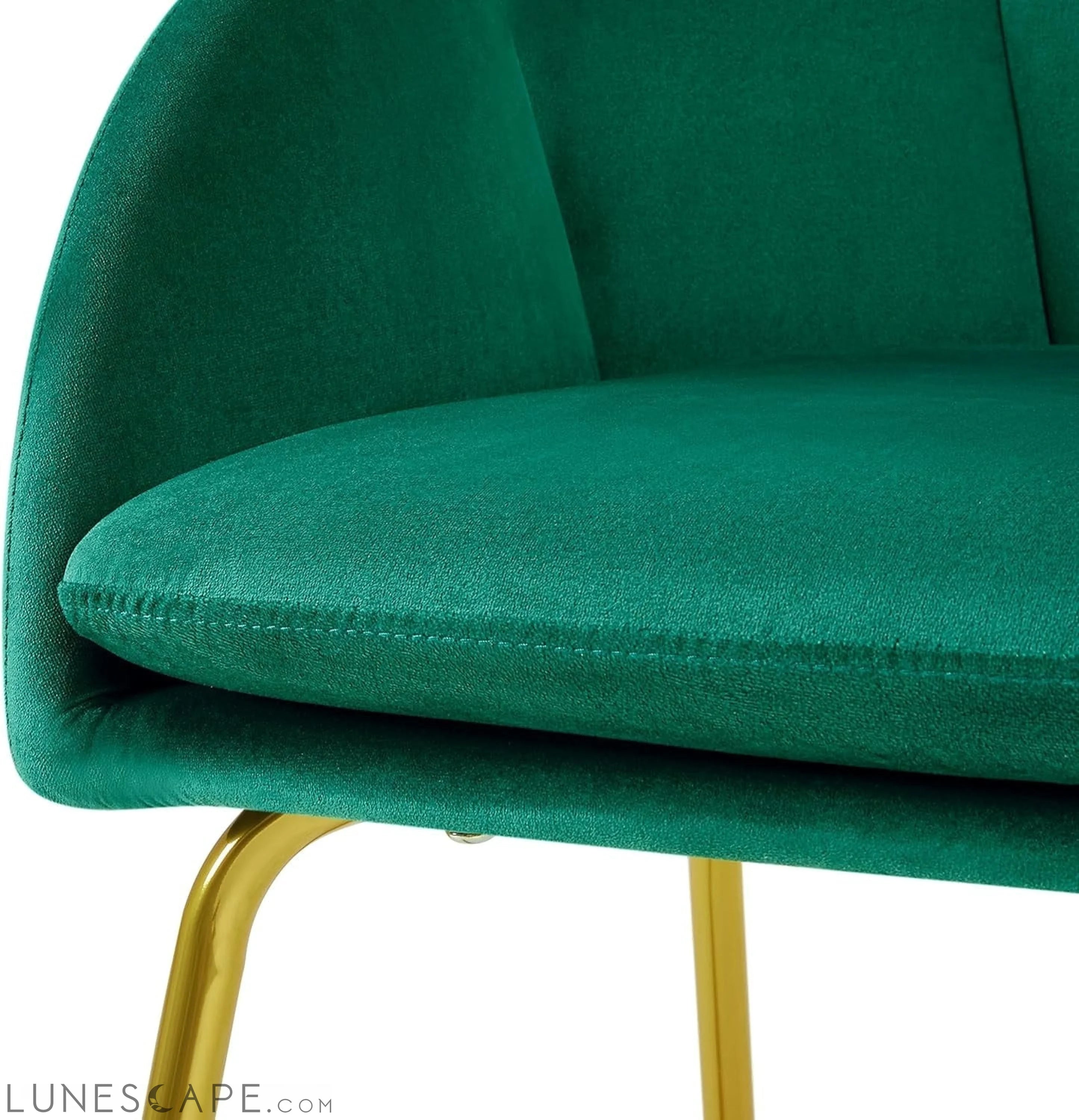 Flower Velvet Vanity Chair, Modern Side Chair Armchair with Golden LUNESCAPE